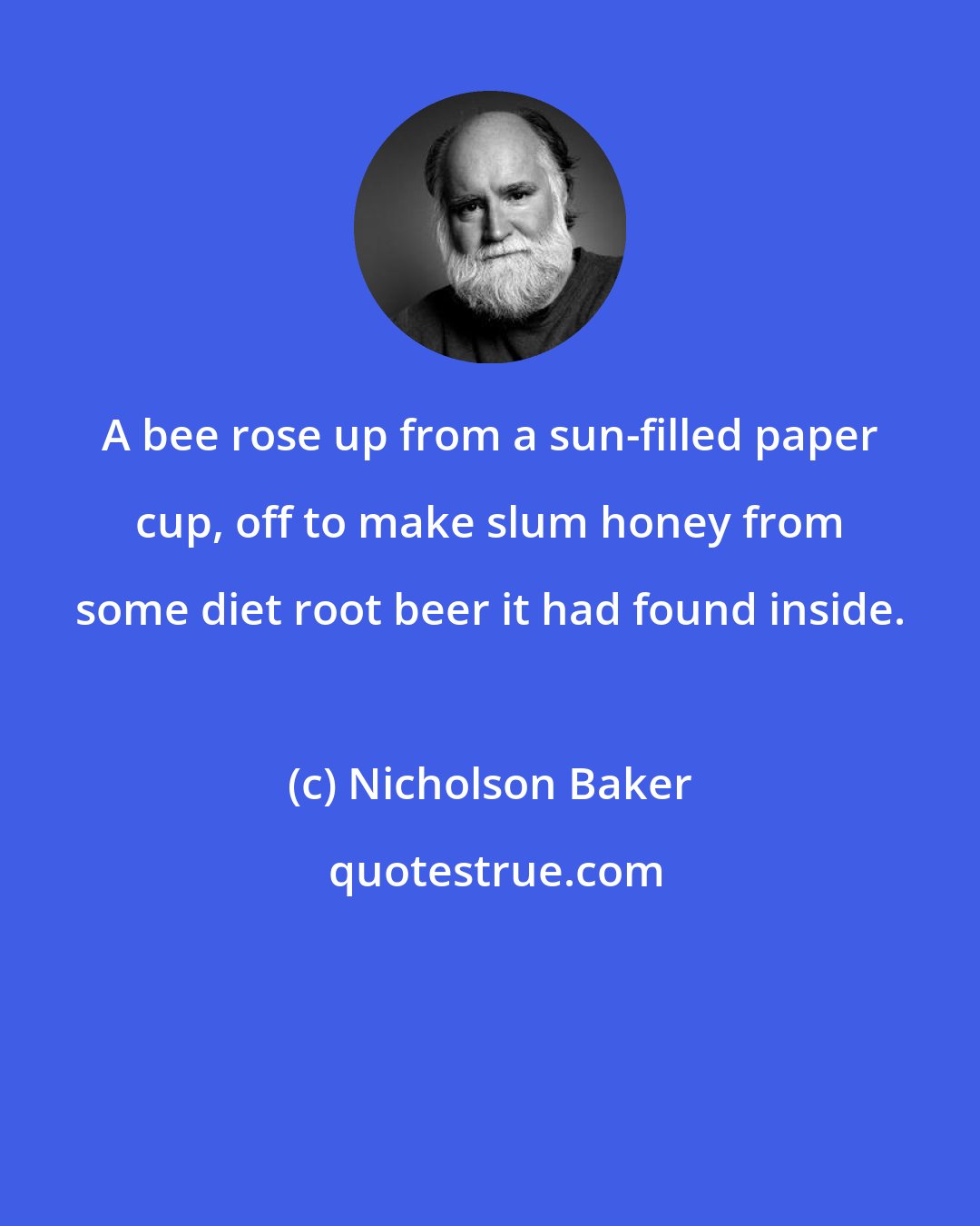 Nicholson Baker: A bee rose up from a sun-filled paper cup, off to make slum honey from some diet root beer it had found inside.