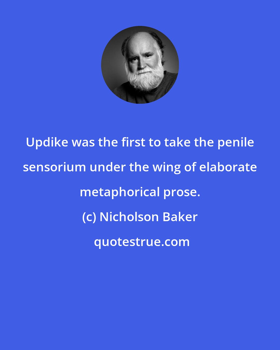 Nicholson Baker: Updike was the first to take the penile sensorium under the wing of elaborate metaphorical prose.