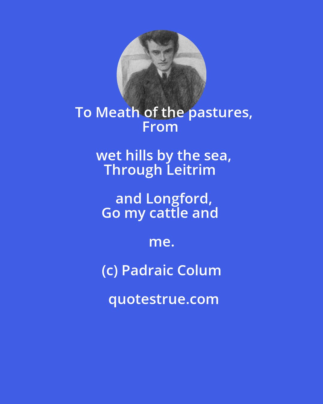 Padraic Colum: To Meath of the pastures,
From wet hills by the sea,
Through Leitrim and Longford,
Go my cattle and me.