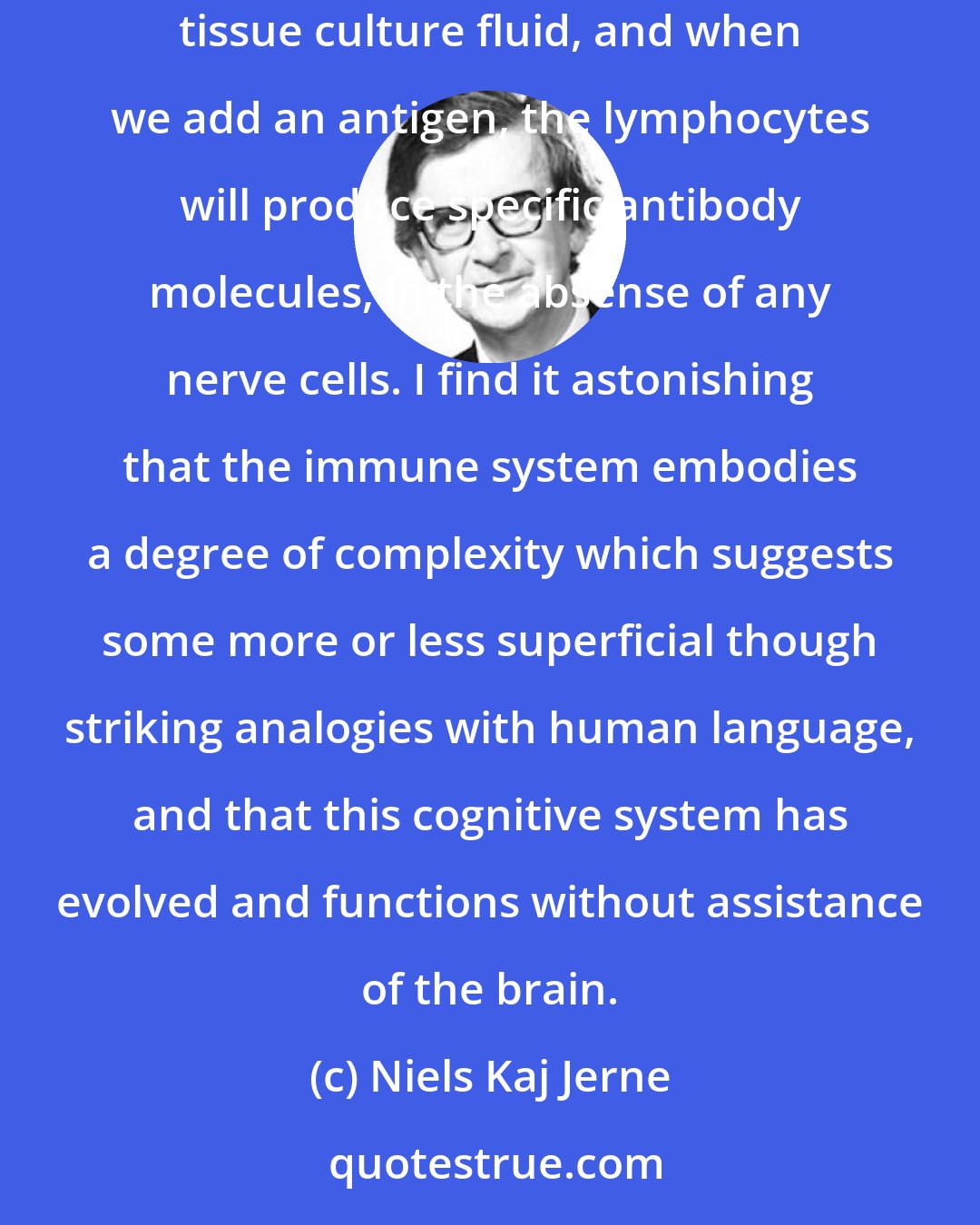 Niels Kaj Jerne: An immune system of enormous complexity is present in all vertebrate animals. When we place a population of lymphocytes from such an animal in appropriate tissue culture fluid, and when we add an antigen, the lymphocytes will produce specific antibody molecules, in the absense of any nerve cells. I find it astonishing that the immune system embodies a degree of complexity which suggests some more or less superficial though striking analogies with human language, and that this cognitive system has evolved and functions without assistance of the brain.