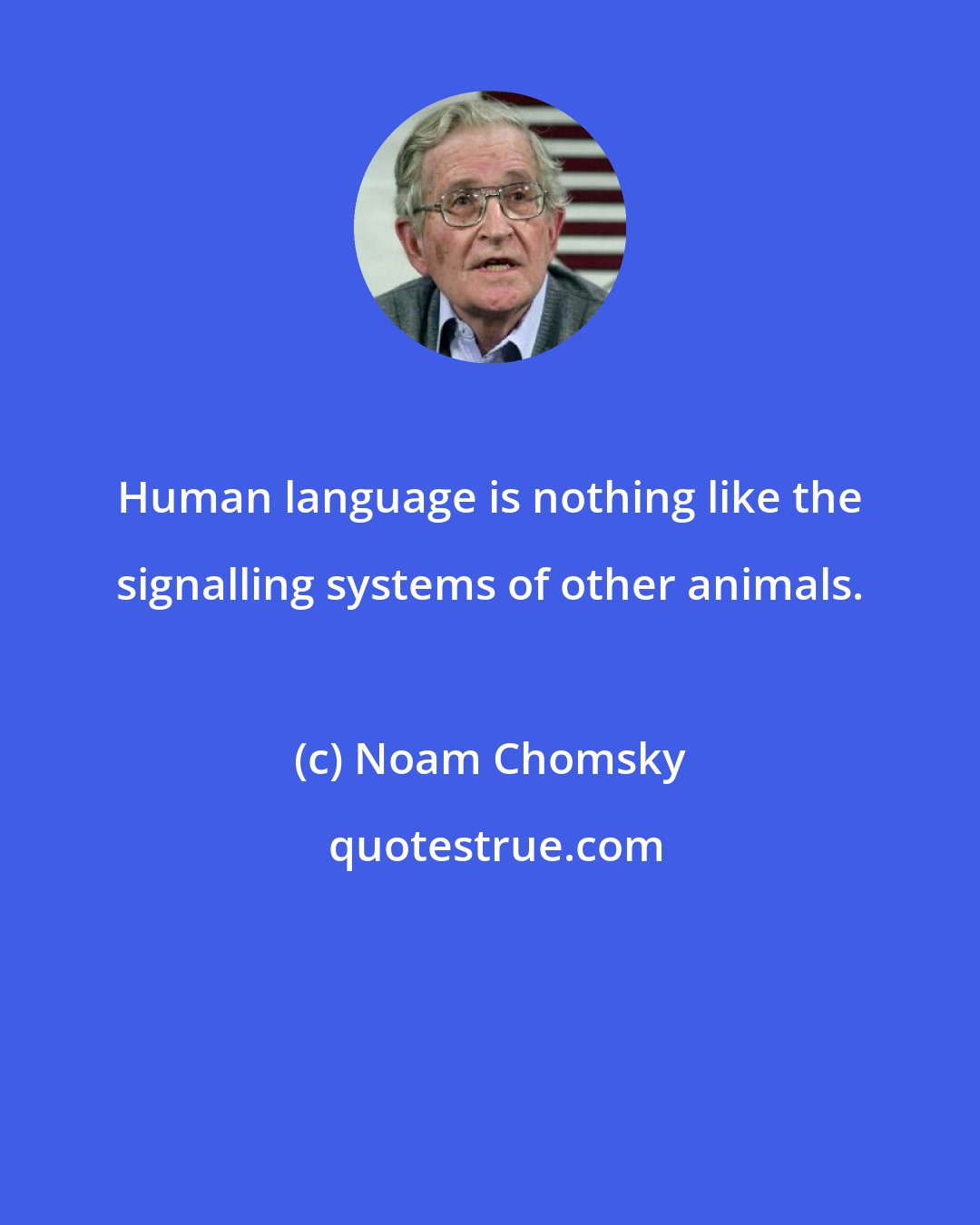 Noam Chomsky: Human language is nothing like the signalling systems of other animals.