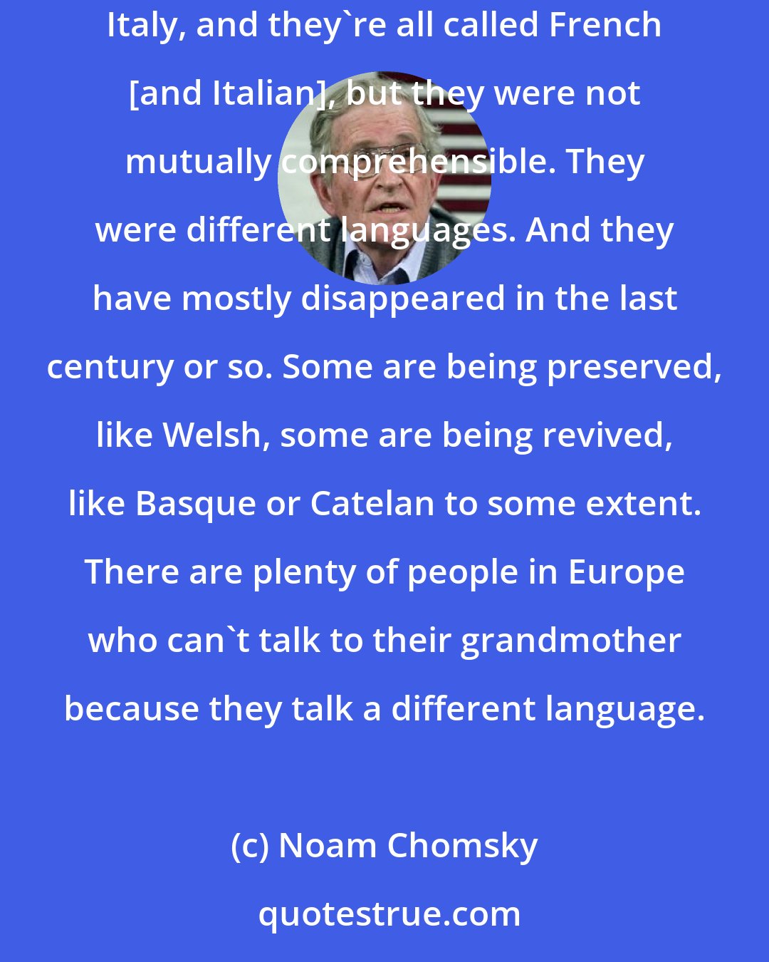 Noam Chomsky: If you go back a century in Europe, all over the place people were speaking different languages. There were dozens of languages in France and Italy, and they're all called French [and Italian], but they were not mutually comprehensible. They were different languages. And they have mostly disappeared in the last century or so. Some are being preserved, like Welsh, some are being revived, like Basque or Catelan to some extent. There are plenty of people in Europe who can't talk to their grandmother because they talk a different language.