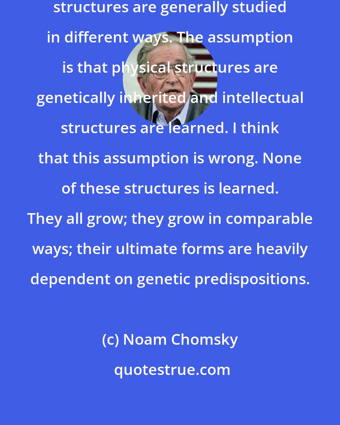 Noam Chomsky: Human physical structures and intellectual structures are generally studied in different ways. The assumption is that physical structures are genetically inherited and intellectual structures are learned. I think that this assumption is wrong. None of these structures is learned. They all grow; they grow in comparable ways; their ultimate forms are heavily dependent on genetic predispositions.