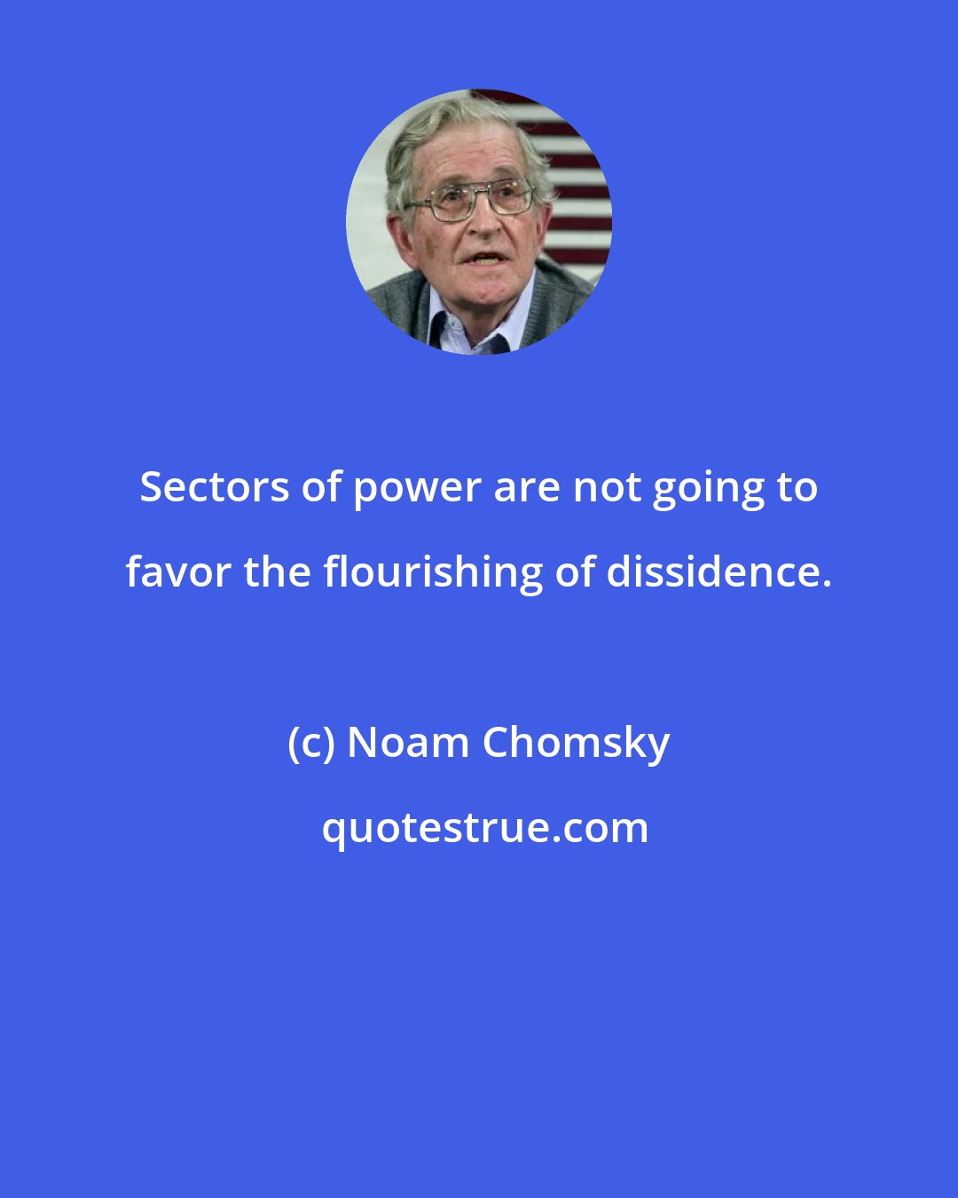 Noam Chomsky: Sectors of power are not going to favor the flourishing of dissidence.