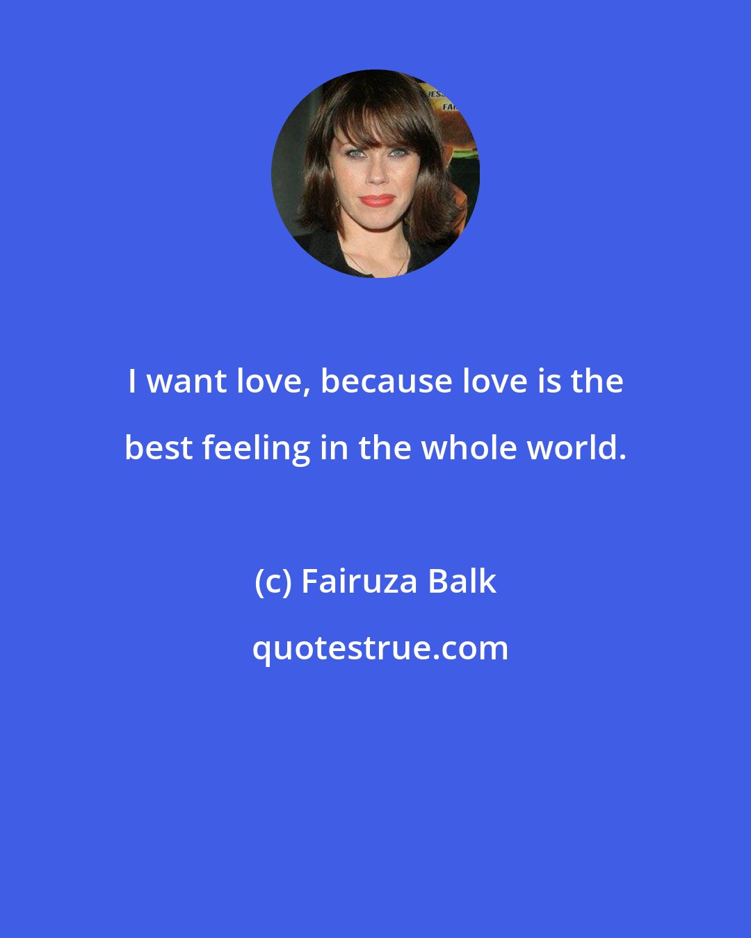 Fairuza Balk: I want love, because love is the best feeling in the whole world.
