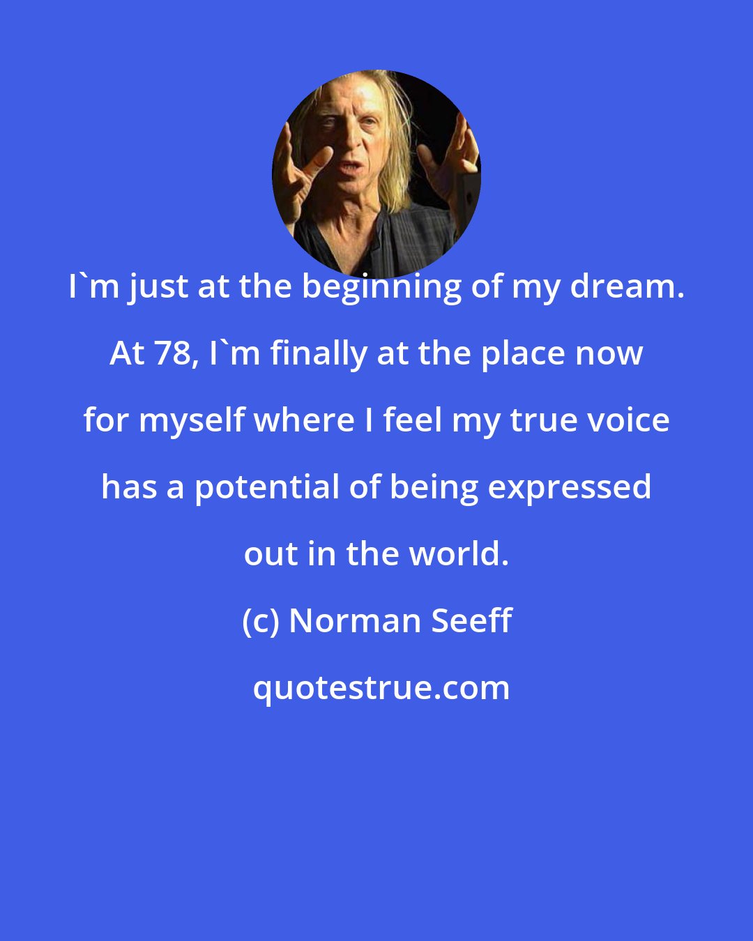 Norman Seeff: I'm just at the beginning of my dream. At 78, I'm finally at the place now for myself where I feel my true voice has a potential of being expressed out in the world.