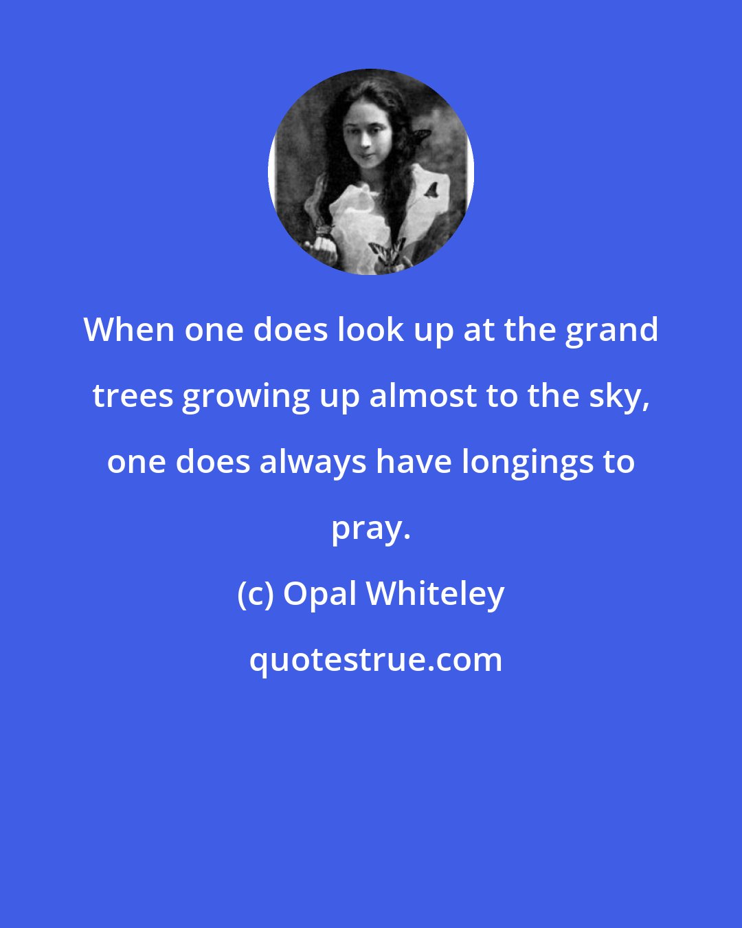 Opal Whiteley: When one does look up at the grand trees growing up almost to the sky, one does always have longings to pray.