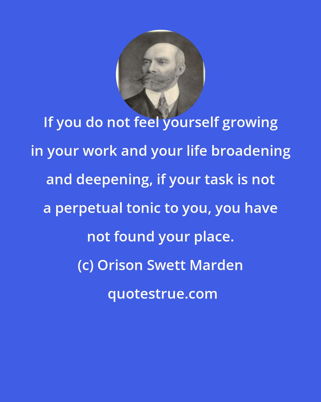 Orison Swett Marden: If you do not feel yourself growing in your work and your life broadening and deepening, if your task is not a perpetual tonic to you, you have not found your place.