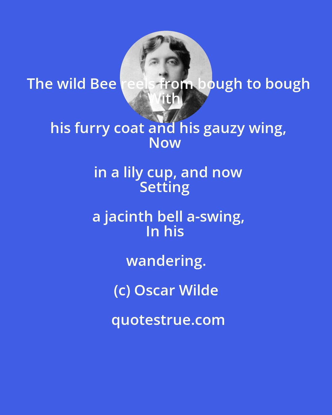 Oscar Wilde: The wild Bee reels from bough to bough
With his furry coat and his gauzy wing,
Now in a lily cup, and now
Setting a jacinth bell a-swing,
In his wandering.