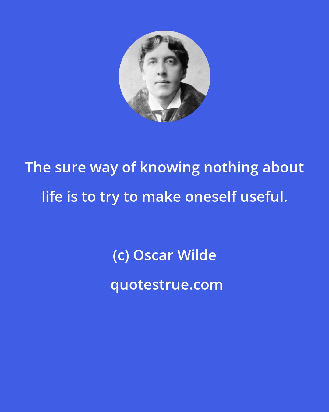 Oscar Wilde: The sure way of knowing nothing about life is to try to make oneself useful.