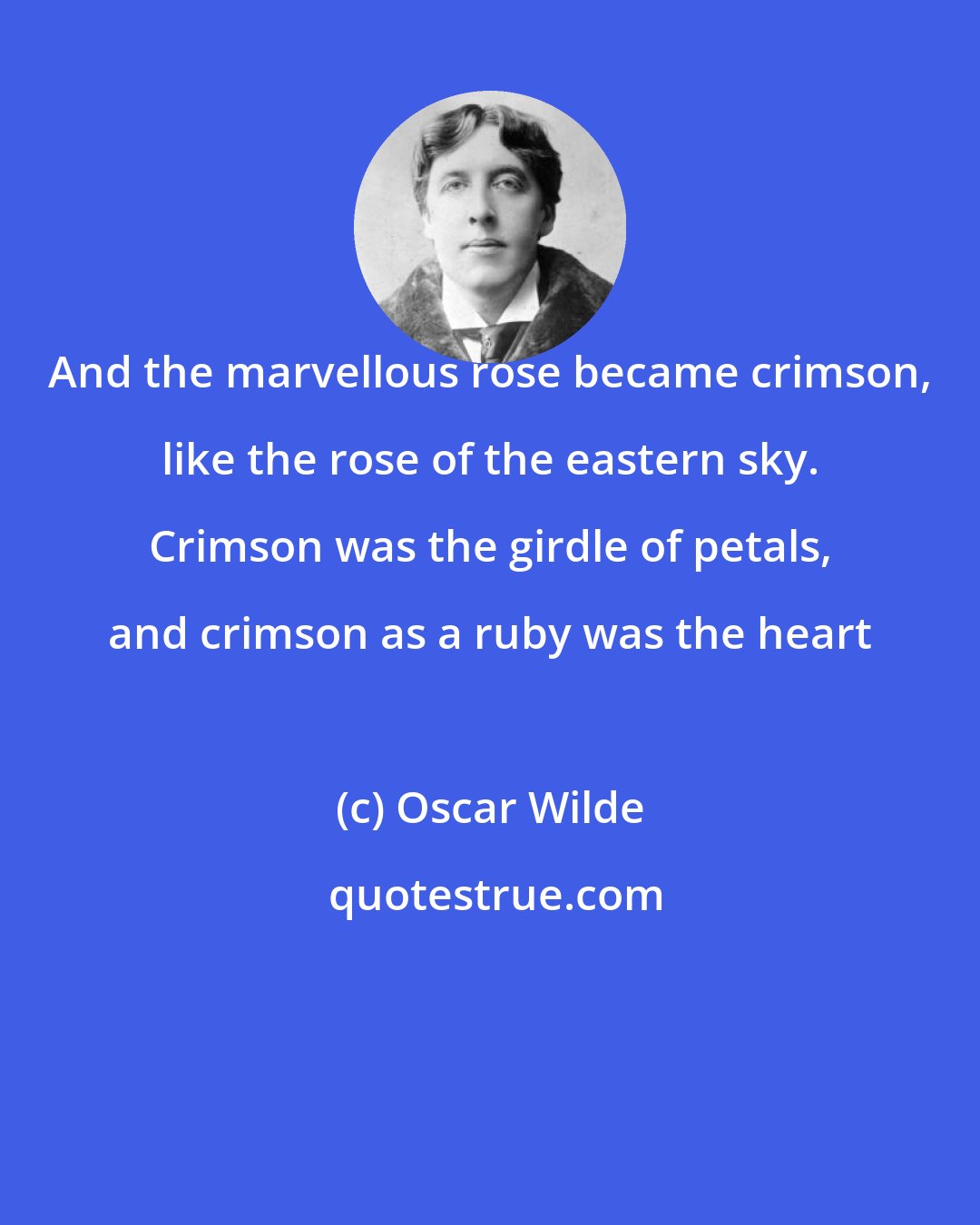 Oscar Wilde: And the marvellous rose became crimson, like the rose of the eastern sky. Crimson was the girdle of petals, and crimson as a ruby was the heart