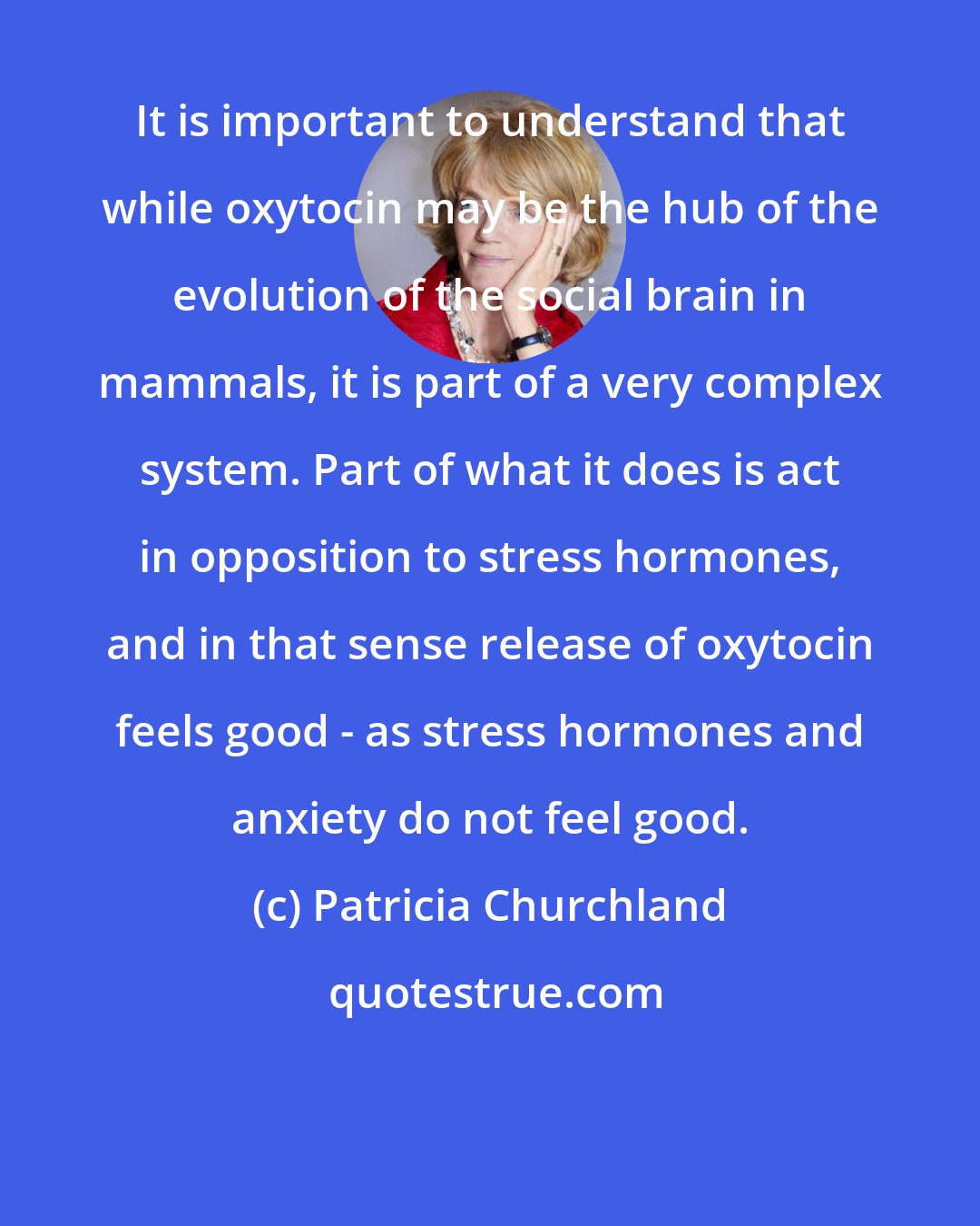 Patricia Churchland: It is important to understand that while oxytocin may be the hub of the evolution of the social brain in mammals, it is part of a very complex system. Part of what it does is act in opposition to stress hormones, and in that sense release of oxytocin feels good - as stress hormones and anxiety do not feel good.