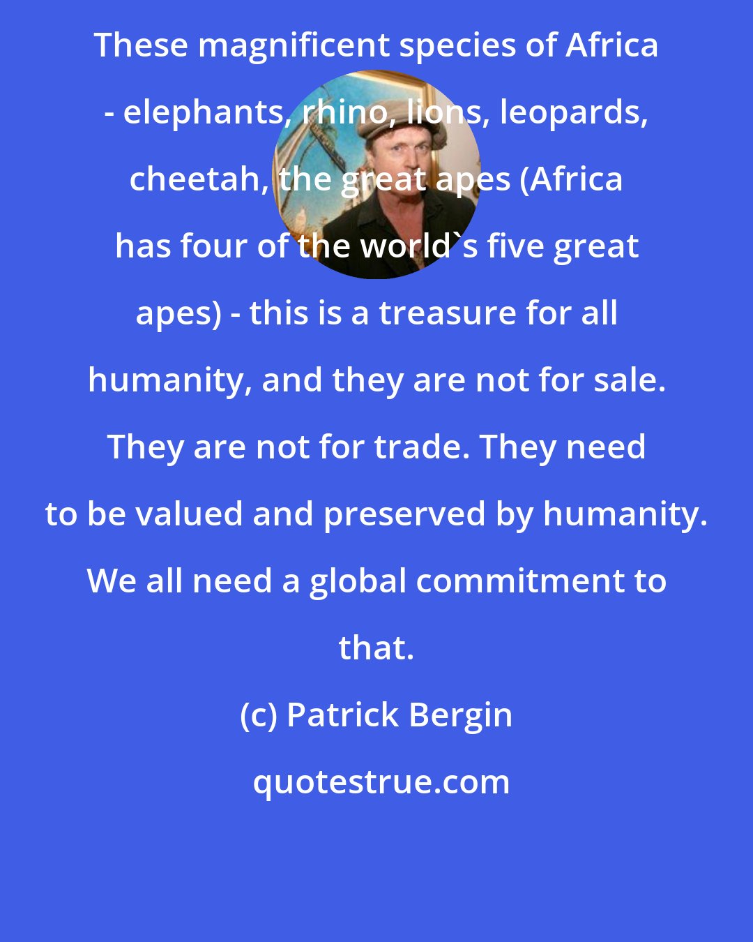 Patrick Bergin: These magnificent species of Africa - elephants, rhino, lions, leopards, cheetah, the great apes (Africa has four of the world's five great apes) - this is a treasure for all humanity, and they are not for sale. They are not for trade. They need to be valued and preserved by humanity. We all need a global commitment to that.