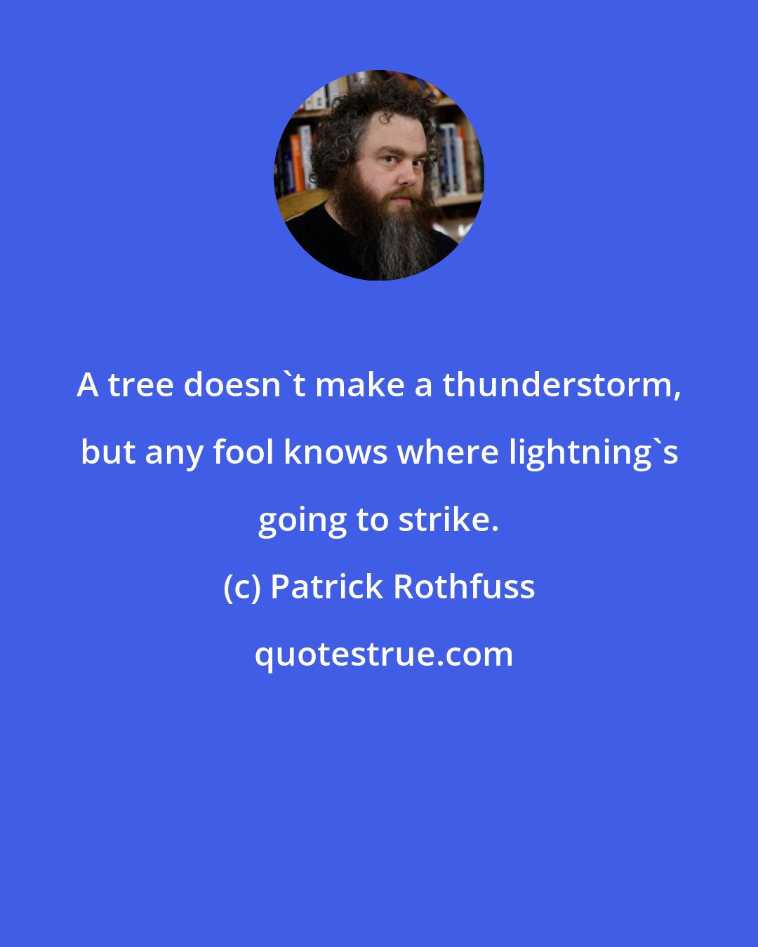 Patrick Rothfuss: A tree doesn't make a thunderstorm, but any fool knows where lightning's going to strike.