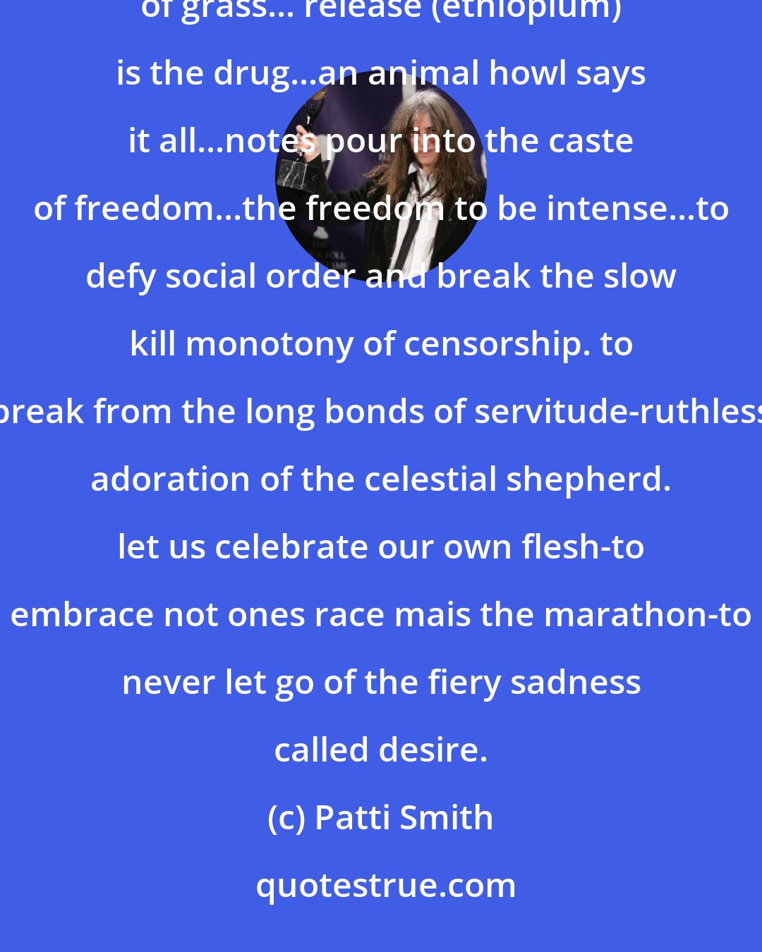 Patti Smith: ...heroine: the artist, the premier mistress writhering in a garden graced w/highly polished blades of grass... release (ethiopium) is the drug...an animal howl says it all...notes pour into the caste of freedom...the freedom to be intense...to defy social order and break the slow kill monotony of censorship. to break from the long bonds of servitude-ruthless adoration of the celestial shepherd. let us celebrate our own flesh-to embrace not ones race mais the marathon-to never let go of the fiery sadness called desire.