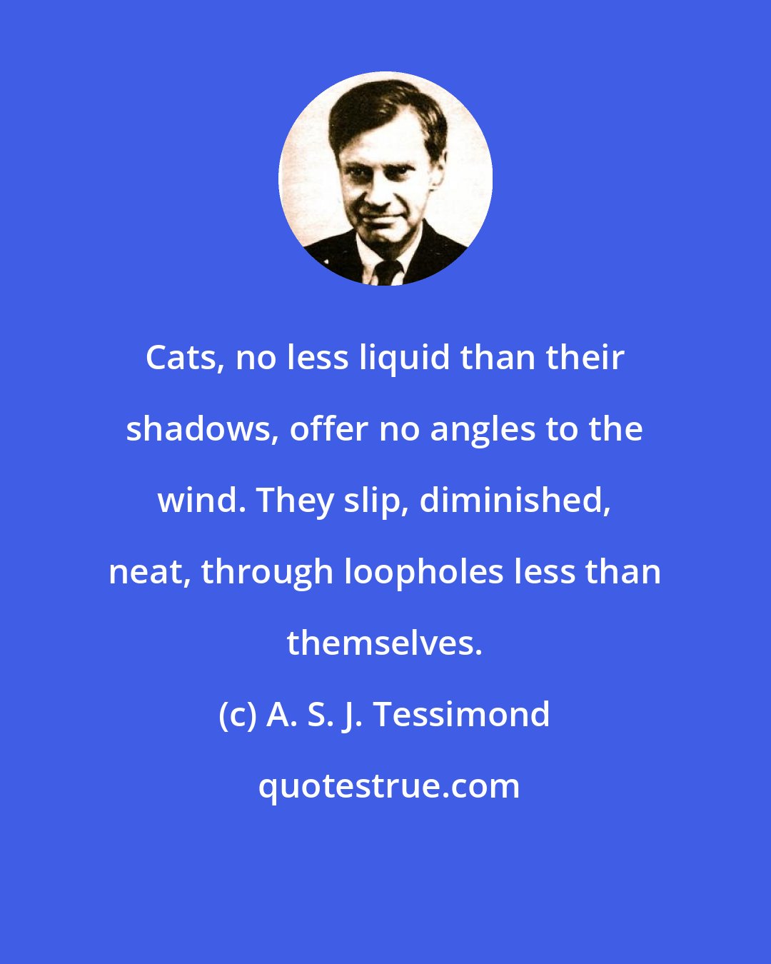 A. S. J. Tessimond: Cats, no less liquid than their shadows, offer no angles to the wind. They slip, diminished, neat, through loopholes less than themselves.