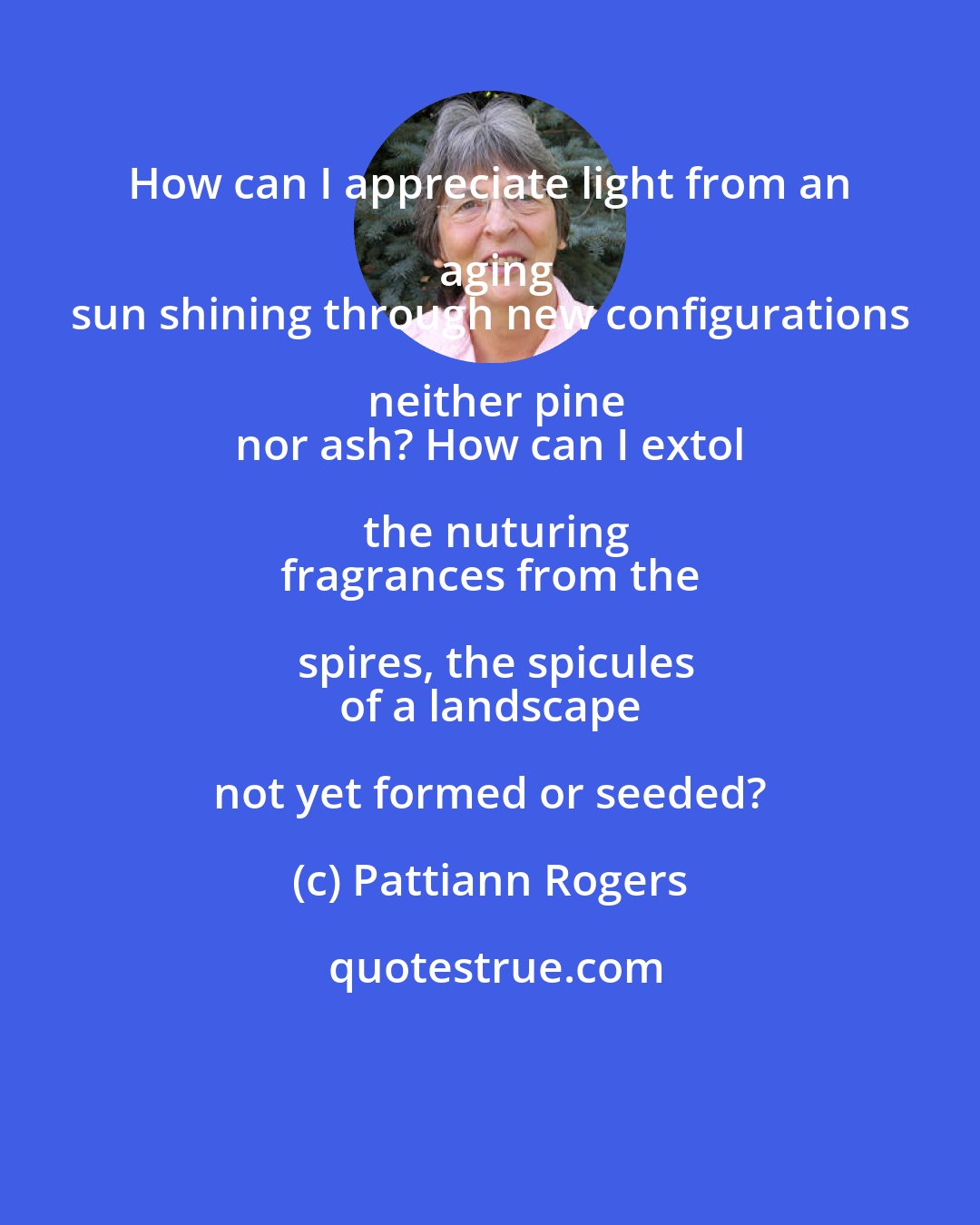 Pattiann Rogers: How can I appreciate light from an aging
 sun shining through new configurations neither pine
 nor ash? How can I extol the nuturing
 fragrances from the spires, the spicules
 of a landscape not yet formed or seeded?