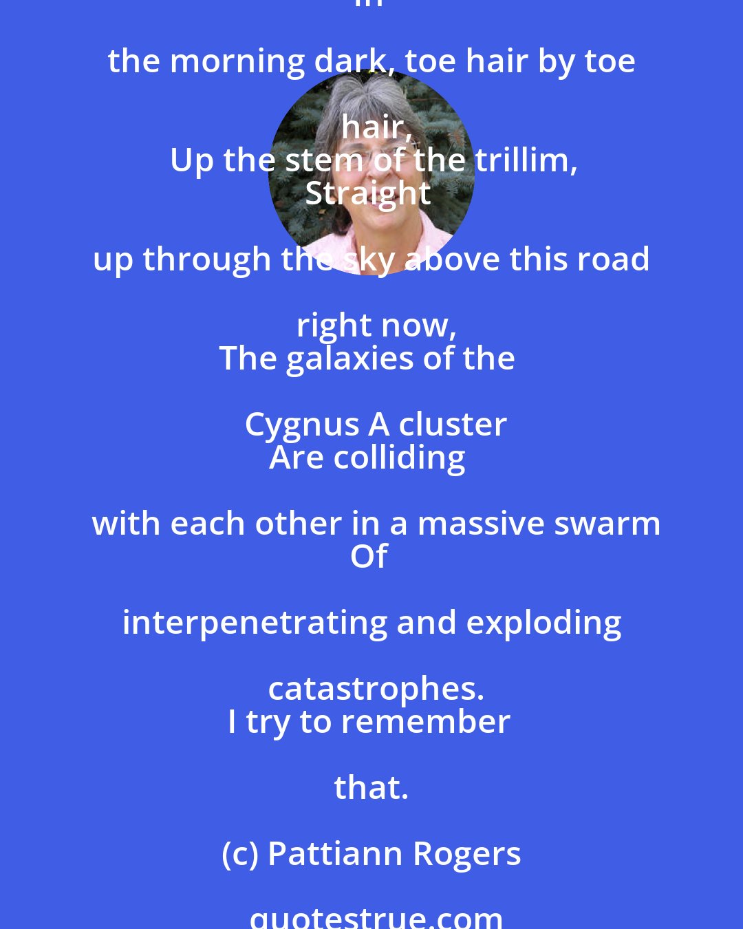 Pattiann Rogers: Straight up from this road
Away from the fitted particles of frost
Coating the hull of each chick pea,
And the stiff archer bug making its way
In the morning dark, toe hair by toe hair,
Up the stem of the trillim,
Straight up through the sky above this road right now,
The galaxies of the Cygnus A cluster
Are colliding with each other in a massive swarm
Of interpenetrating and exploding catastrophes.
I try to remember that.