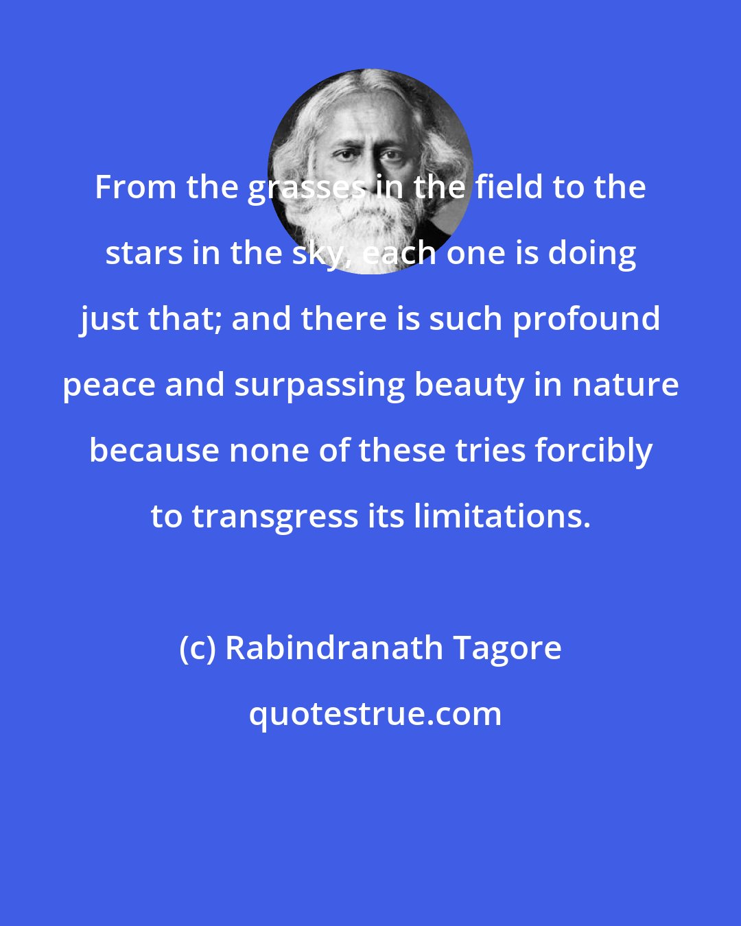 Rabindranath Tagore: From the grasses in the field to the stars in the sky, each one is doing just that; and there is such profound peace and surpassing beauty in nature because none of these tries forcibly to transgress its limitations.