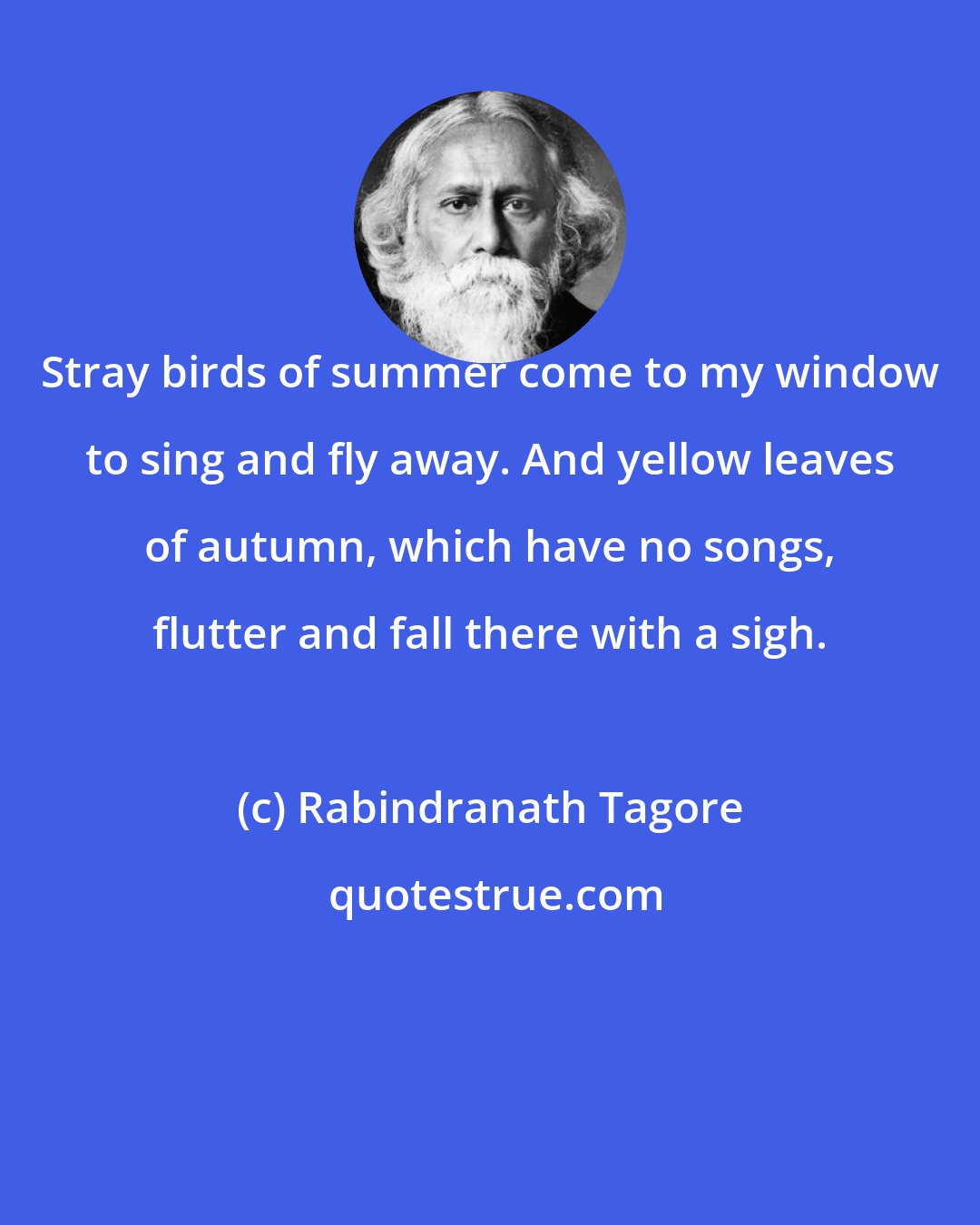 Rabindranath Tagore: Stray birds of summer come to my window to sing and fly away. And yellow leaves of autumn, which have no songs, flutter and fall there with a sigh.