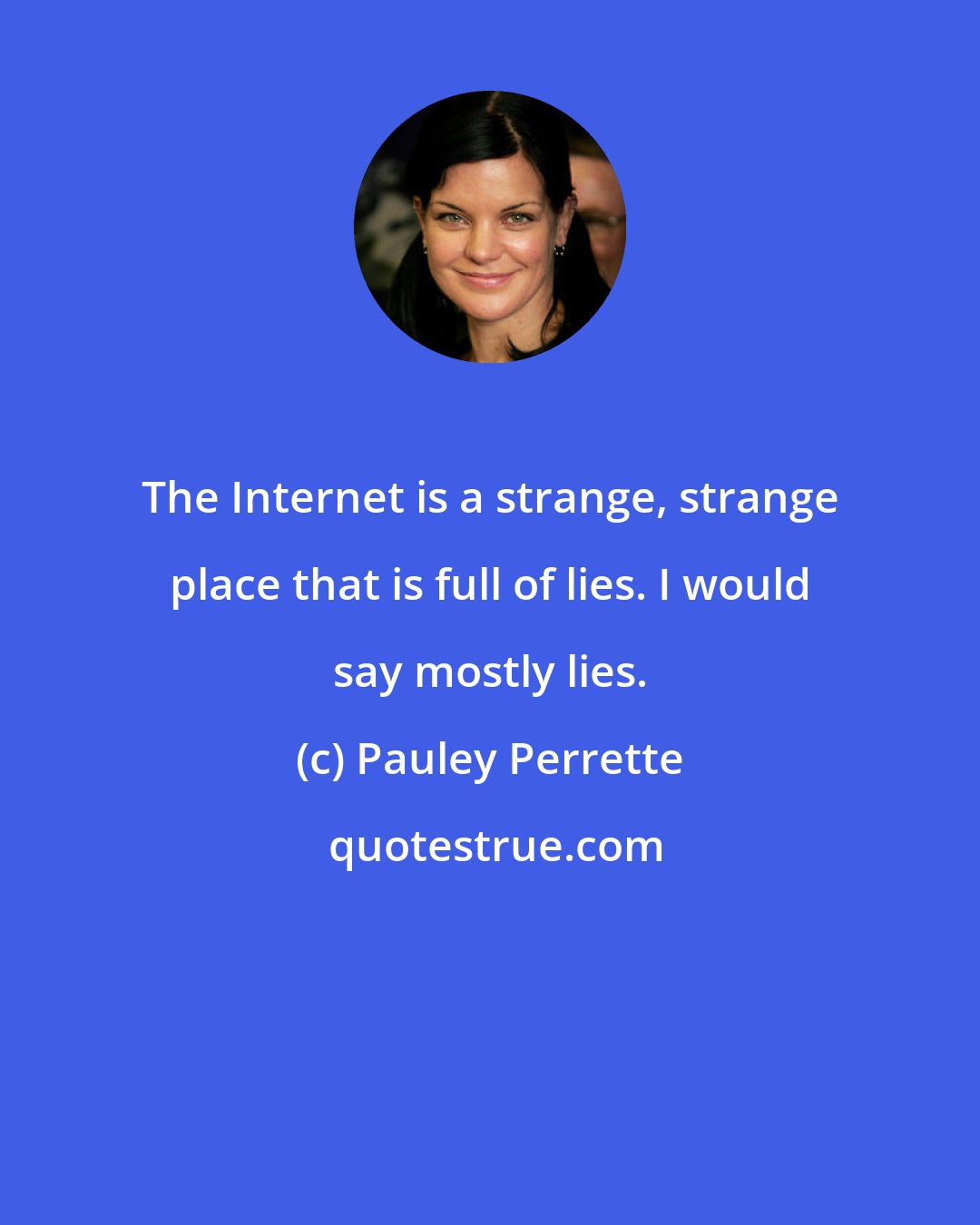 Pauley Perrette: The Internet is a strange, strange place that is full of lies. I would say mostly lies.