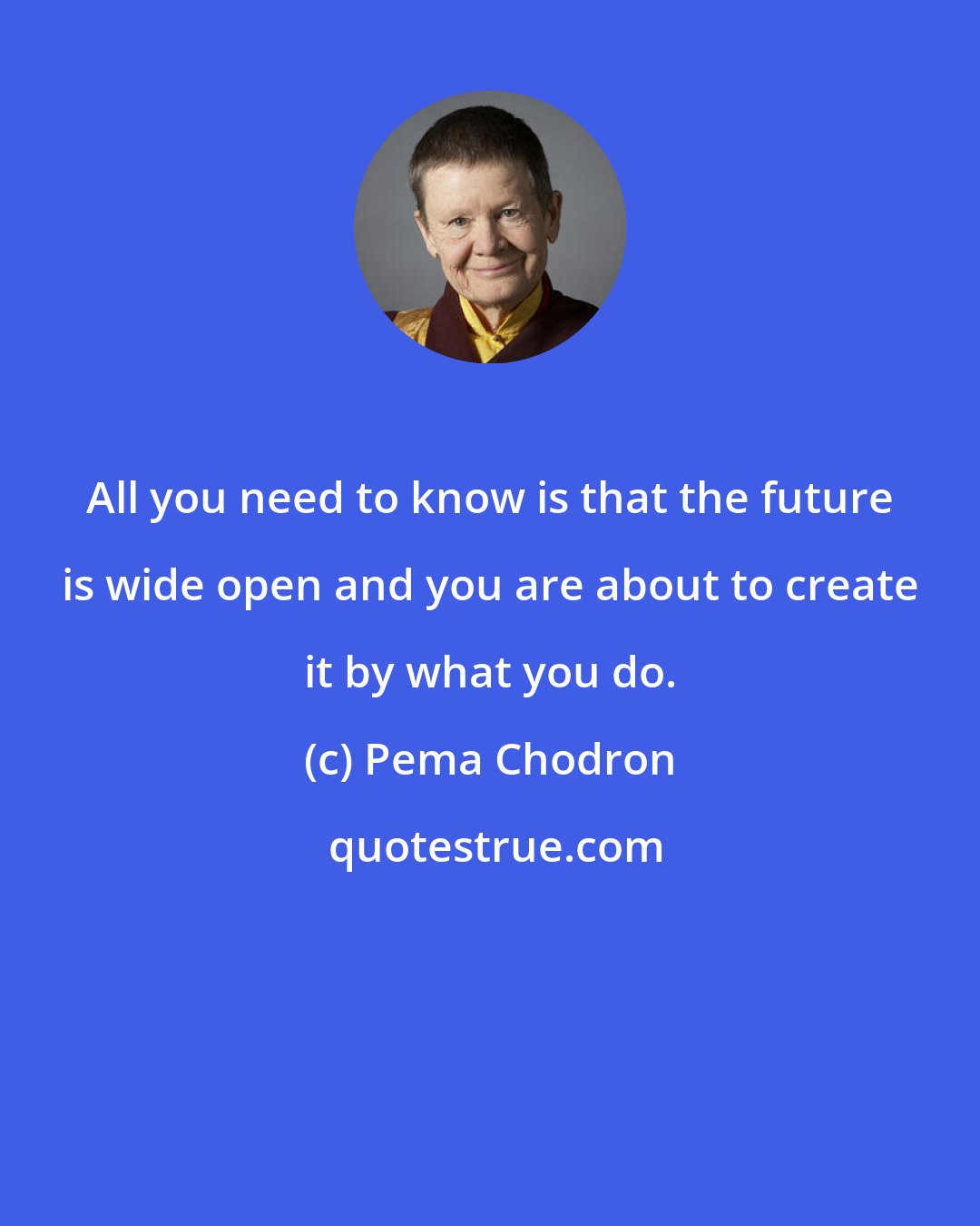 Pema Chodron: All you need to know is that the future is wide open and you are about to create it by what you do.