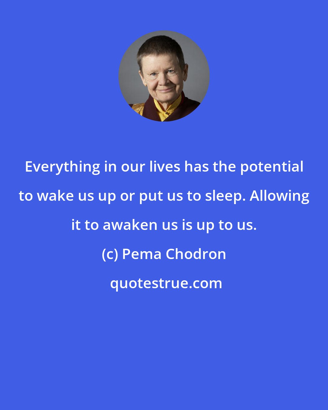 Pema Chodron: Everything in our lives has the potential to wake us up or put us to sleep. Allowing it to awaken us is up to us.