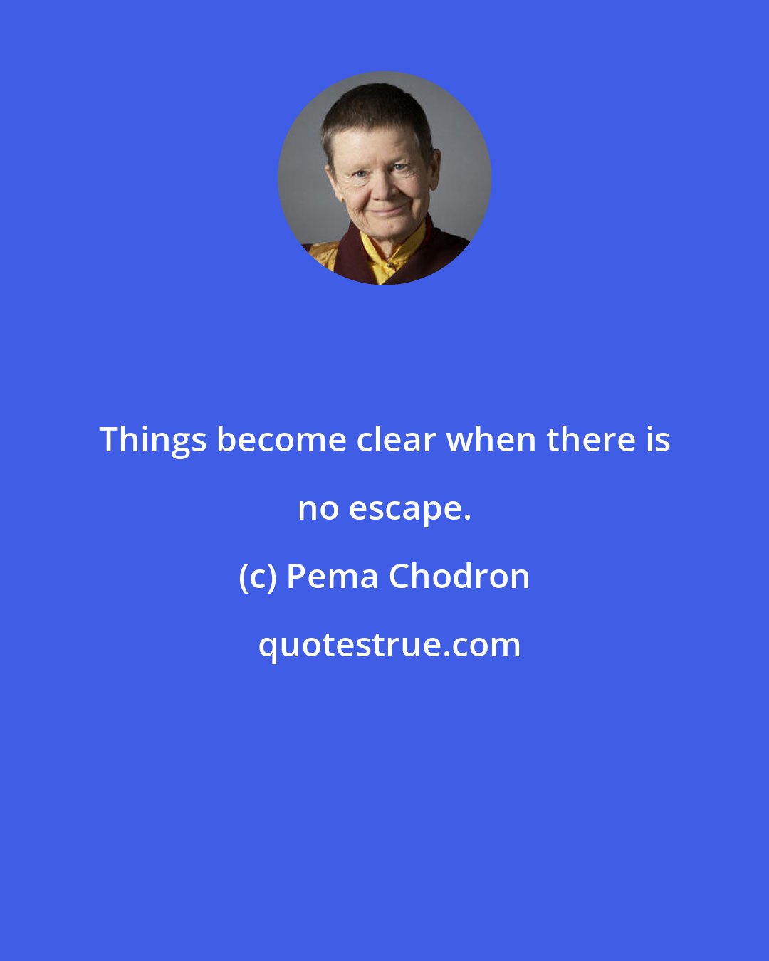 Pema Chodron: Things become clear when there is no escape.