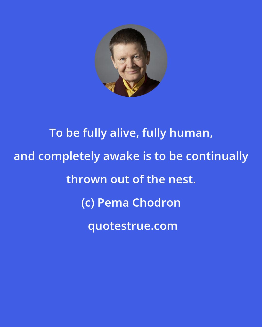 Pema Chodron: To be fully alive, fully human, and completely awake is to be continually thrown out of the nest.