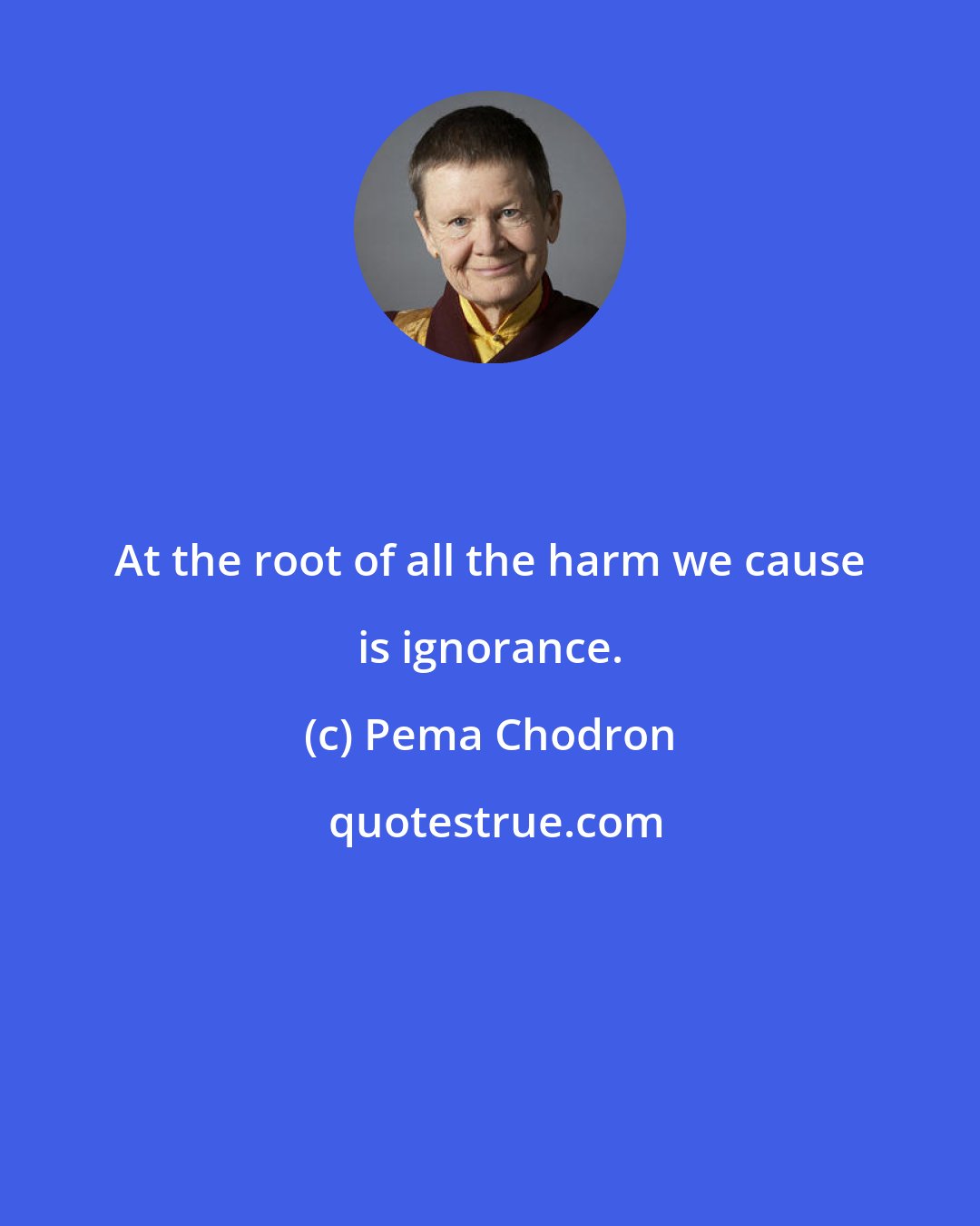 Pema Chodron: At the root of all the harm we cause is ignorance.