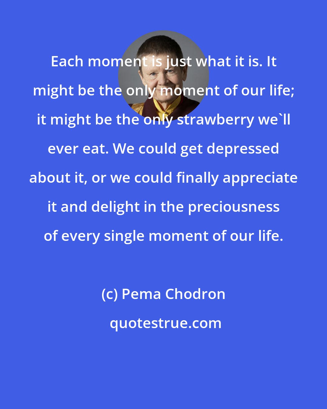 Pema Chodron: Each moment is just what it is. It might be the only moment of our life; it might be the only strawberry we'll ever eat. We could get depressed about it, or we could finally appreciate it and delight in the preciousness of every single moment of our life.