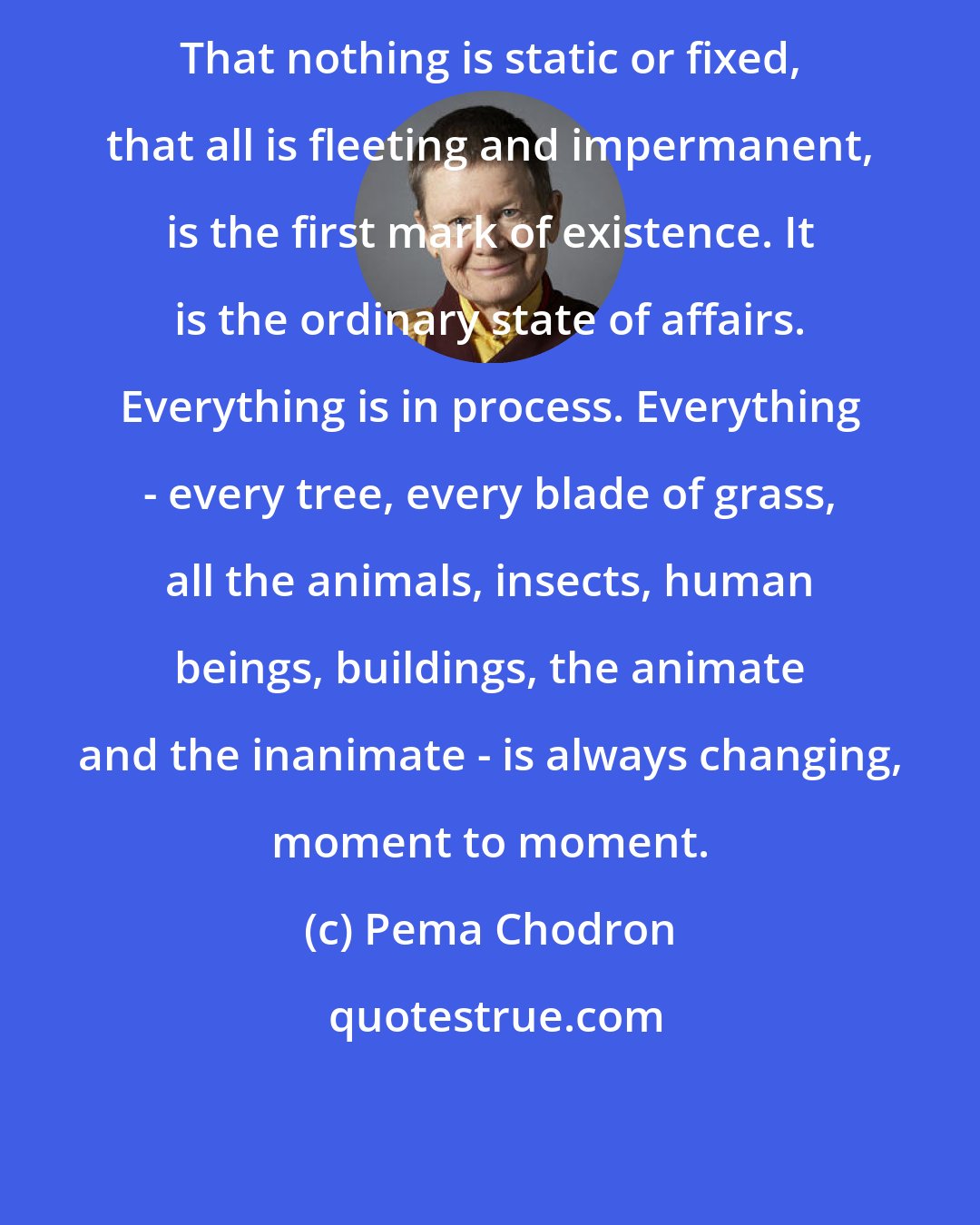 Pema Chodron: That nothing is static or fixed, that all is fleeting and impermanent, is the first mark of existence. It is the ordinary state of affairs. Everything is in process. Everything - every tree, every blade of grass, all the animals, insects, human beings, buildings, the animate and the inanimate - is always changing, moment to moment.