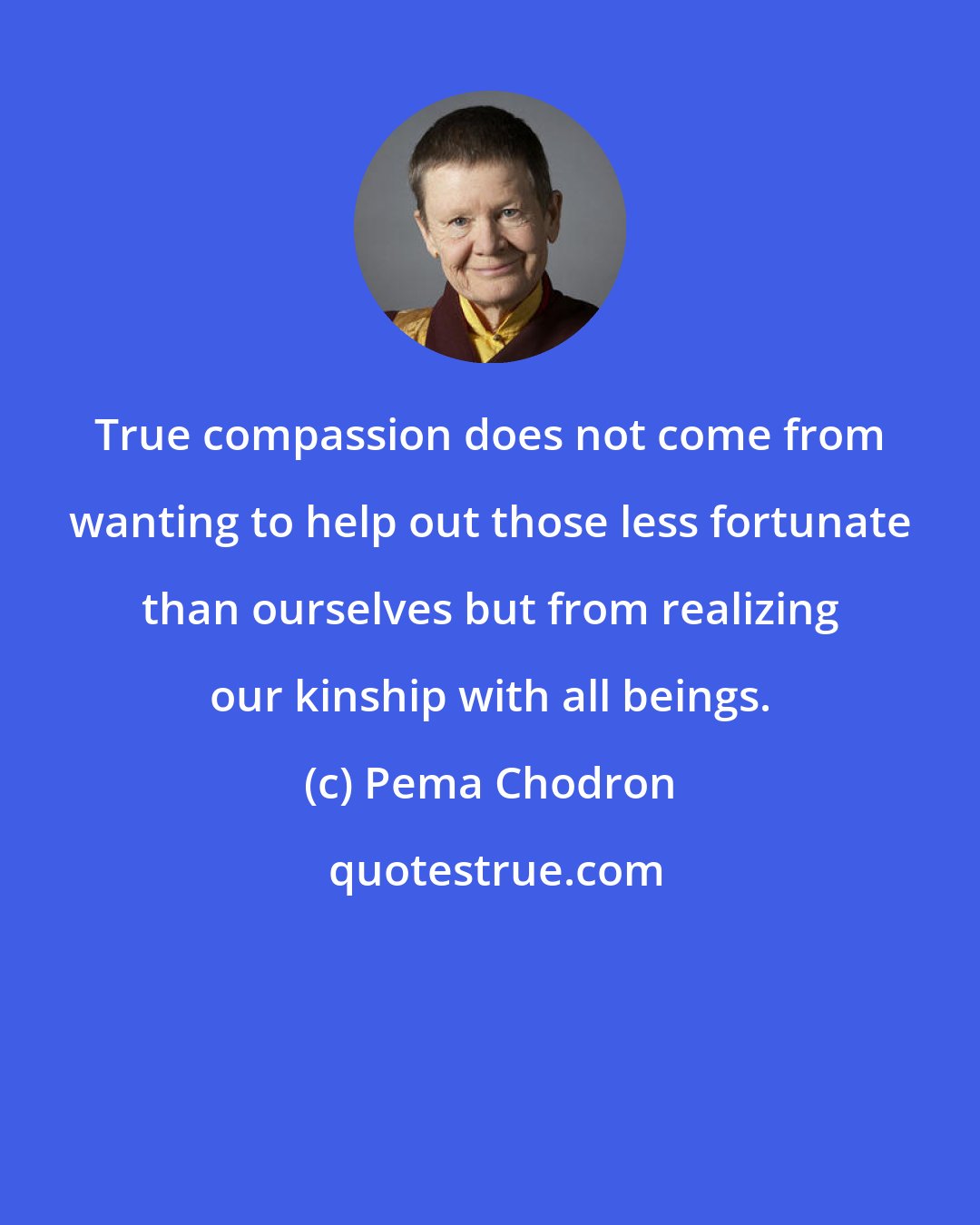 Pema Chodron: True compassion does not come from wanting to help out those less fortunate than ourselves but from realizing our kinship with all beings.