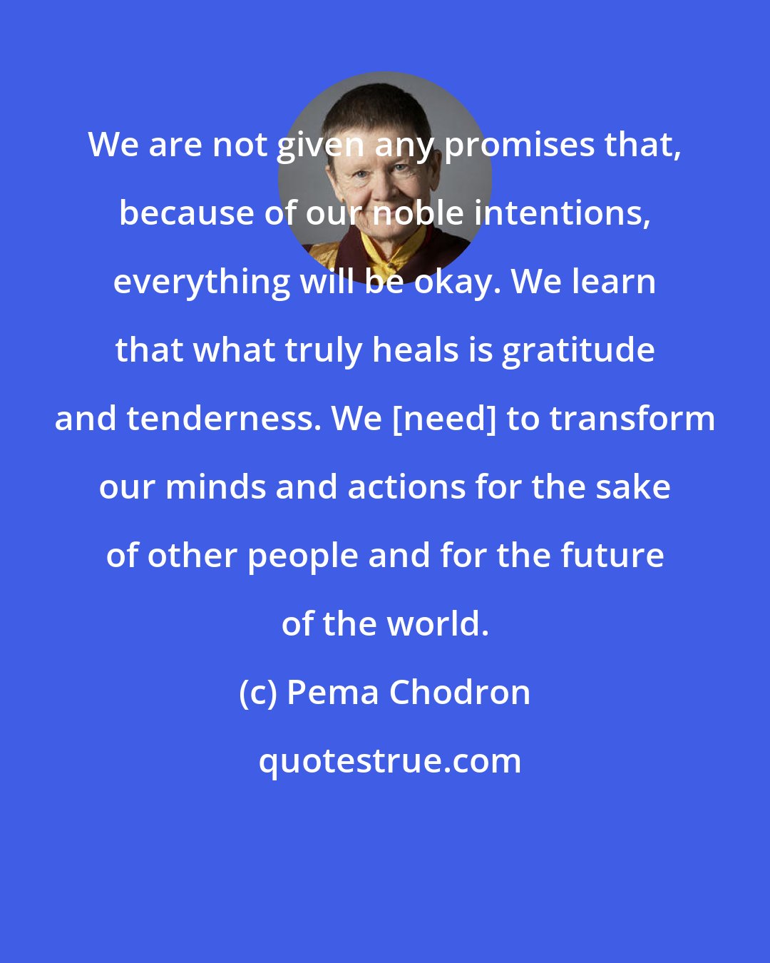 Pema Chodron: We are not given any promises that, because of our noble intentions, everything will be okay. We learn that what truly heals is gratitude and tenderness. We [need] to transform our minds and actions for the sake of other people and for the future of the world.