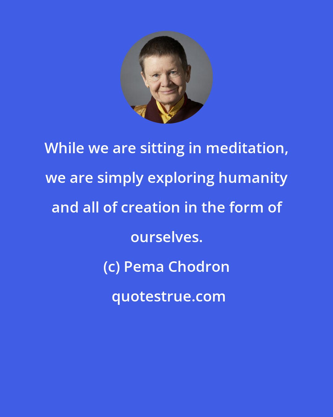 Pema Chodron: While we are sitting in meditation, we are simply exploring humanity and all of creation in the form of ourselves.