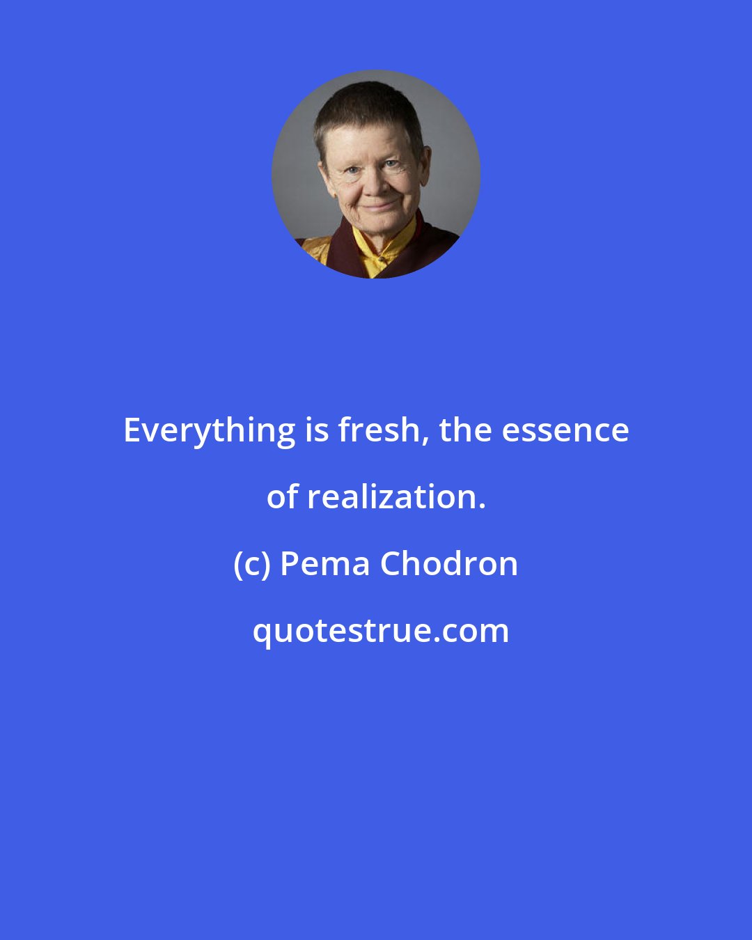 Pema Chodron: Everything is fresh, the essence of realization.