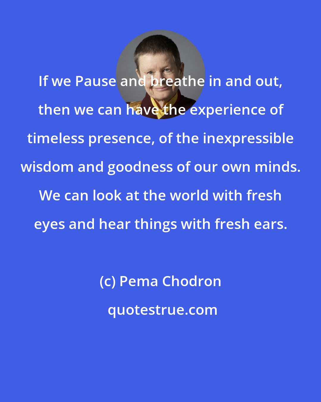 Pema Chodron: If we Pause and breathe in and out, then we can have the experience of timeless presence, of the inexpressible wisdom and goodness of our own minds. We can look at the world with fresh eyes and hear things with fresh ears.