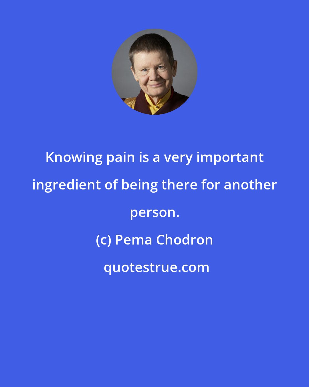 Pema Chodron: Knowing pain is a very important ingredient of being there for another person.