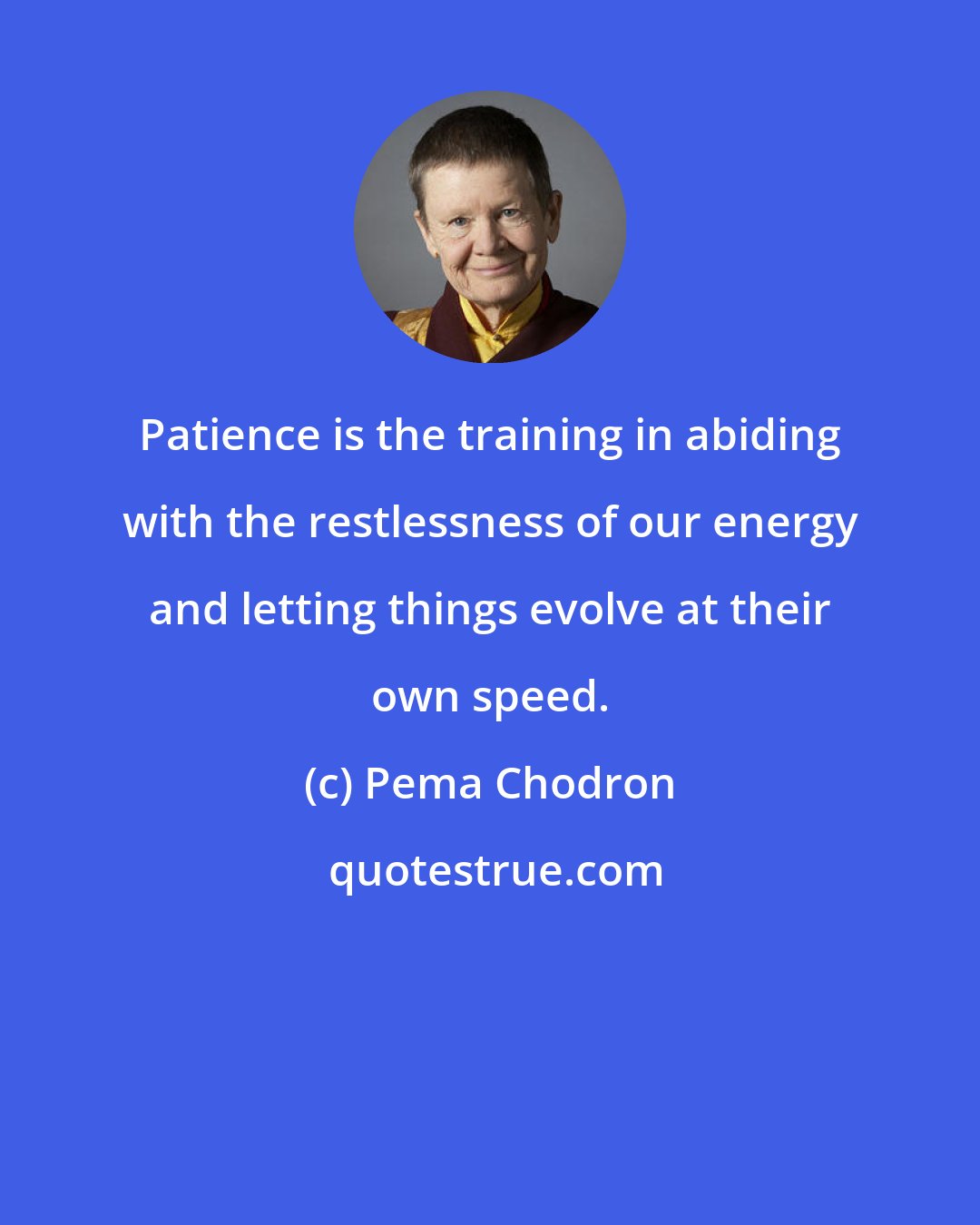 Pema Chodron: Patience is the training in abiding with the restlessness of our energy and letting things evolve at their own speed.