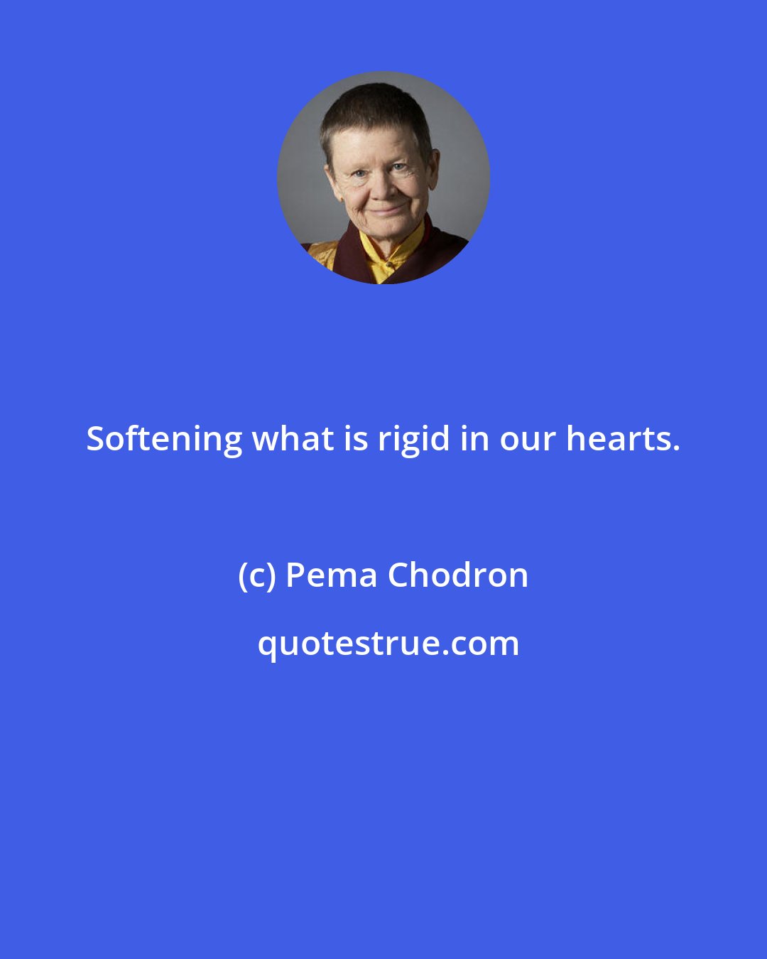 Pema Chodron: Softening what is rigid in our hearts.