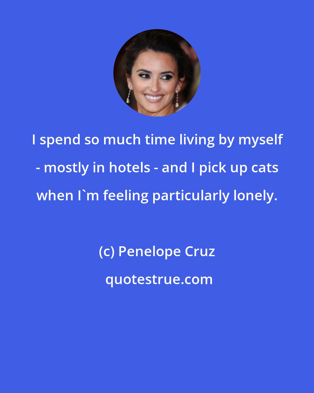 Penelope Cruz: I spend so much time living by myself - mostly in hotels - and I pick up cats when I'm feeling particularly lonely.