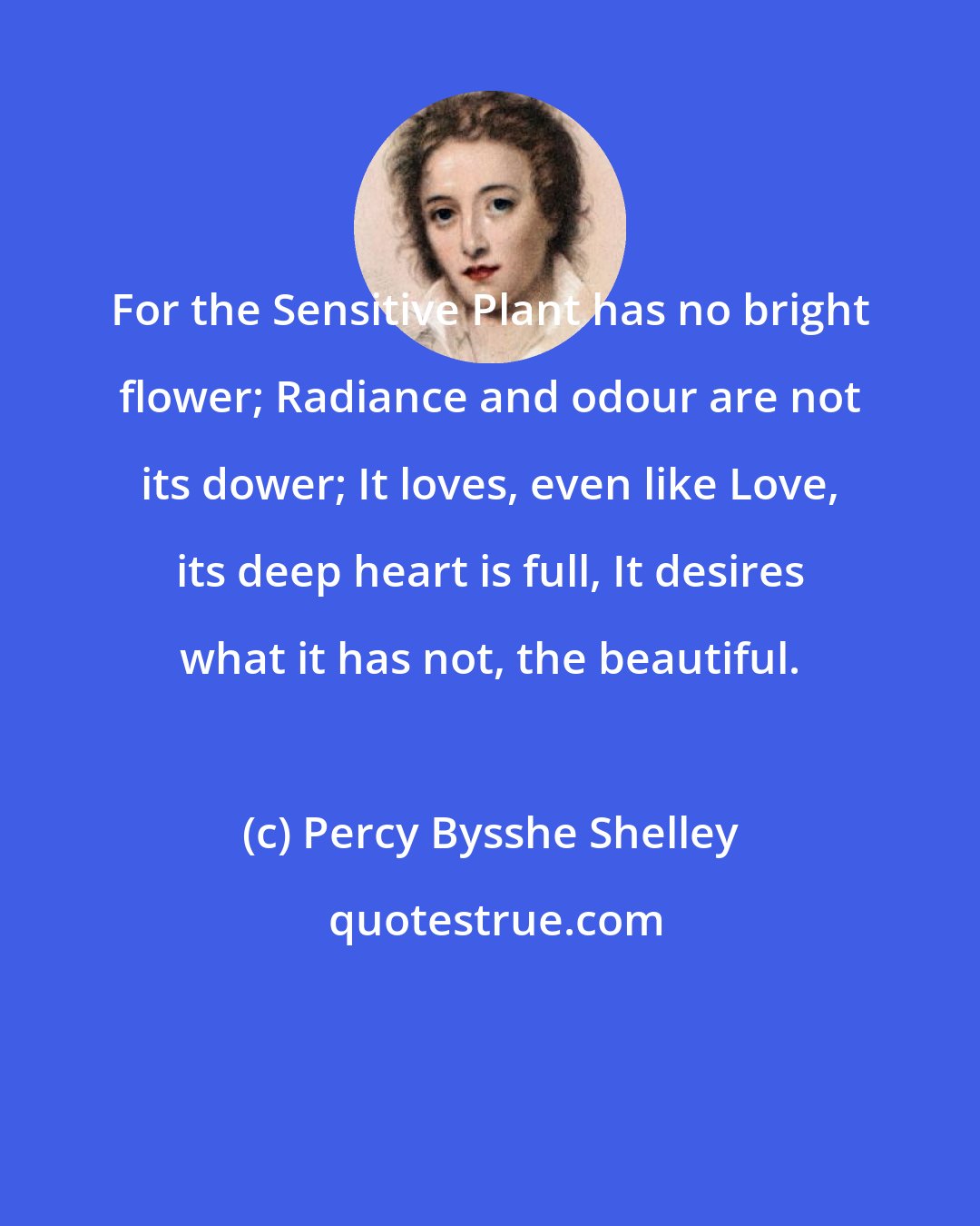 Percy Bysshe Shelley: For the Sensitive Plant has no bright flower; Radiance and odour are not its dower; It loves, even like Love, its deep heart is full, It desires what it has not, the beautiful.