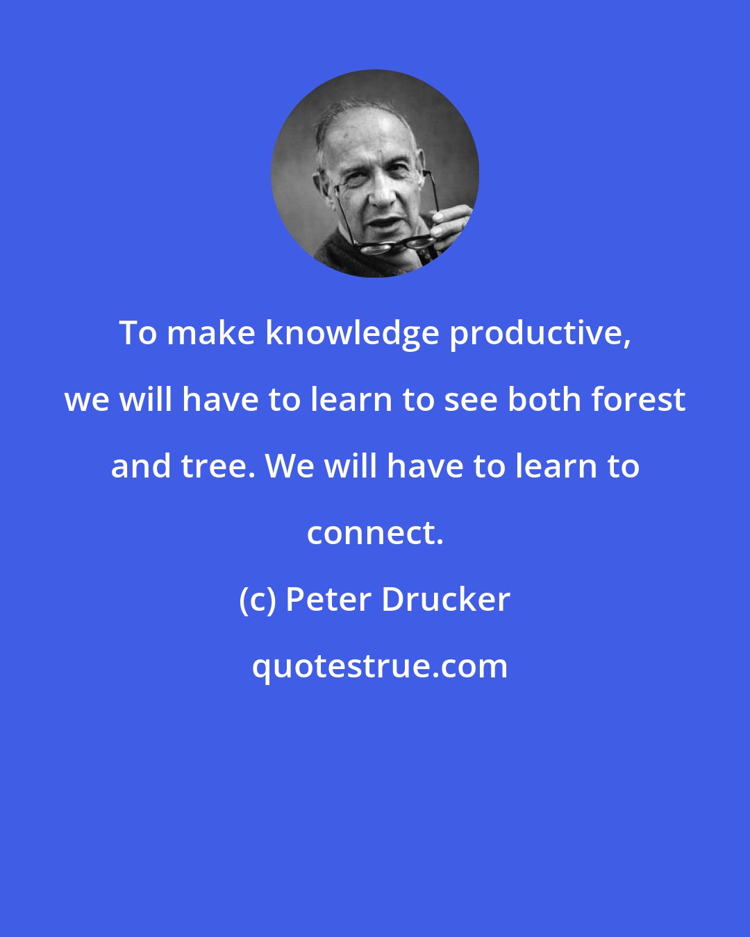 Peter Drucker: To make knowledge productive, we will have to learn to see both forest and tree. We will have to learn to connect.