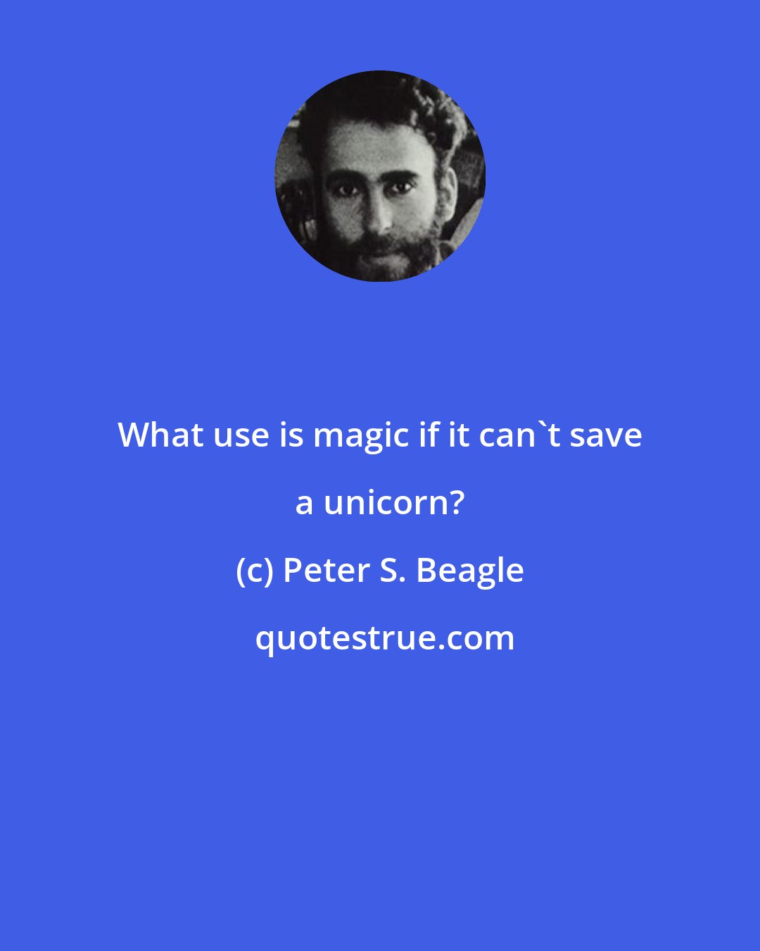 Peter S. Beagle: What use is magic if it can't save a unicorn?