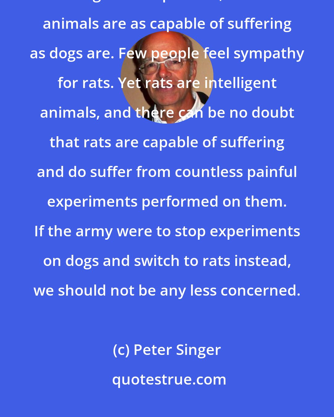 Peter Singer: People tend to care about dogs because they generally have more experience with dogs as companions; but other animals are as capable of suffering as dogs are. Few people feel sympathy for rats. Yet rats are intelligent animals, and there can be no doubt that rats are capable of suffering and do suffer from countless painful experiments performed on them. If the army were to stop experiments on dogs and switch to rats instead, we should not be any less concerned.