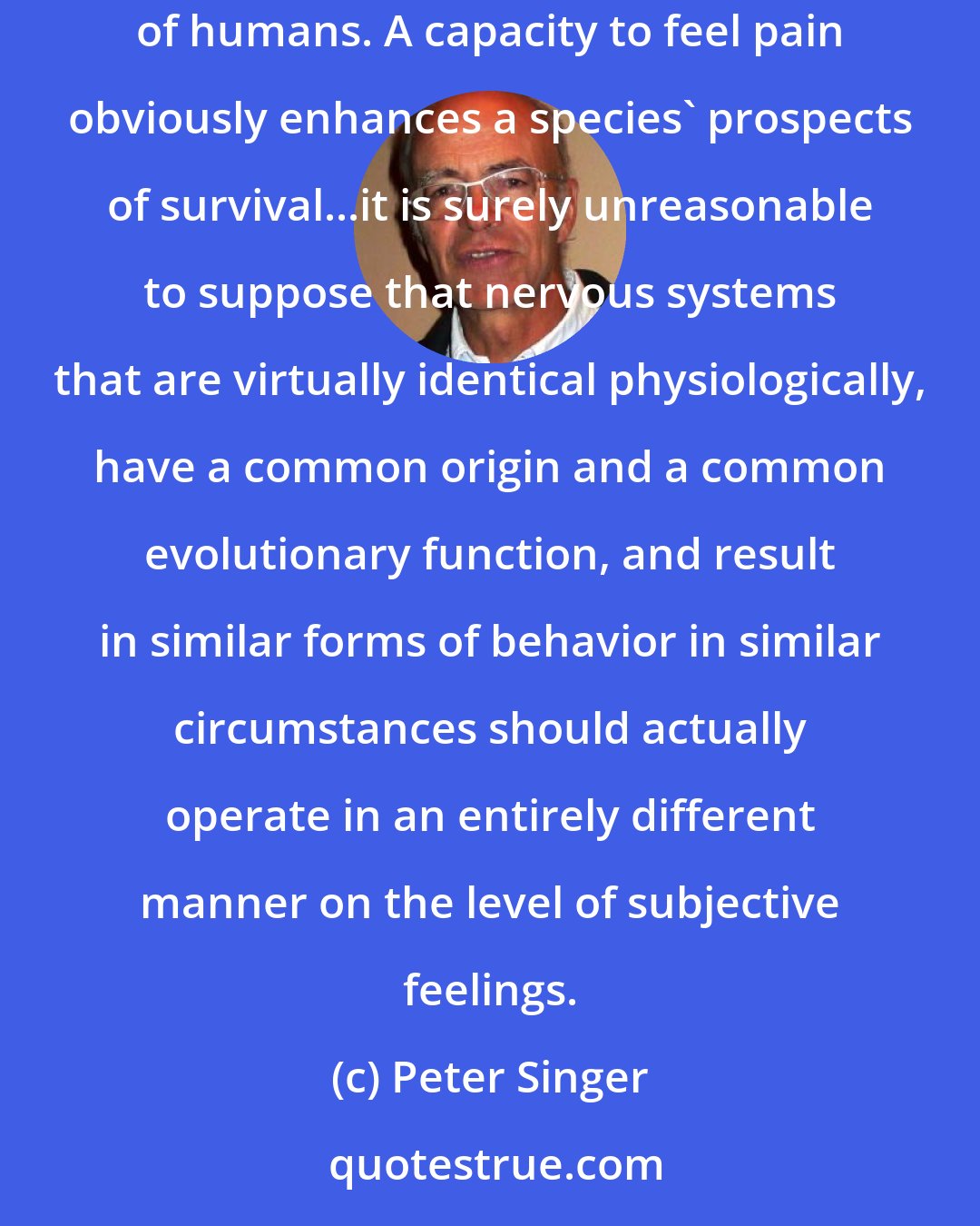 Peter Singer: ...the nervous systems of other animals were not artificially constructed - as a robot might be artificially constructed - to mimic the pain behavior of humans. A capacity to feel pain obviously enhances a species' prospects of survival...it is surely unreasonable to suppose that nervous systems that are virtually identical physiologically, have a common origin and a common evolutionary function, and result in similar forms of behavior in similar circumstances should actually operate in an entirely different manner on the level of subjective feelings.