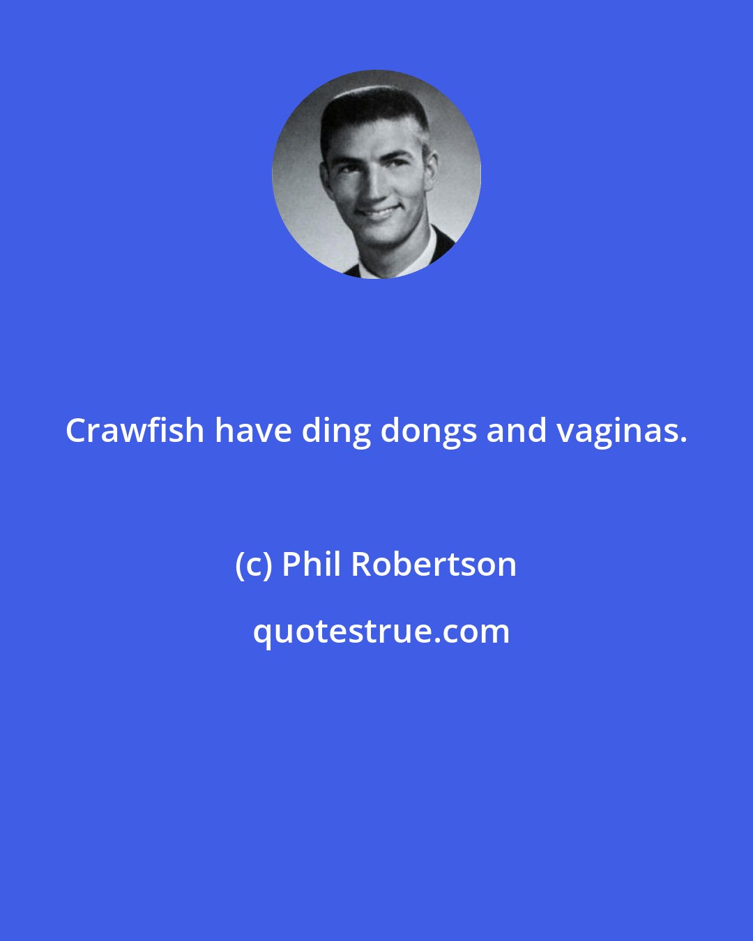 Phil Robertson: Crawfish have ding dongs and vaginas.