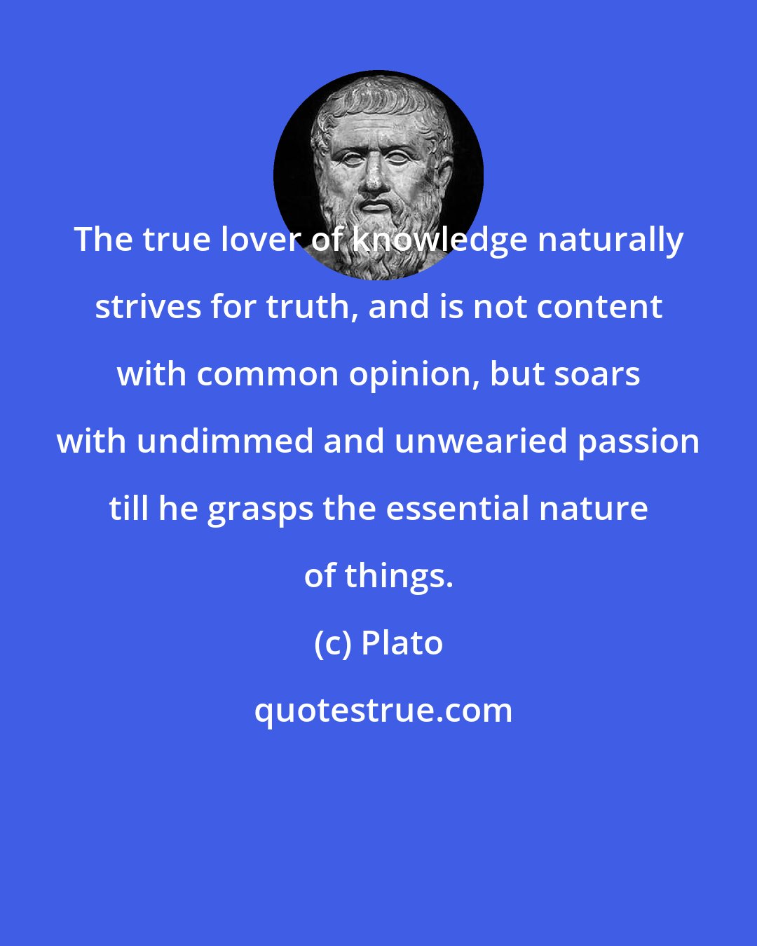 Plato: The true lover of knowledge naturally strives for truth, and is not content with common opinion, but soars with undimmed and unwearied passion till he grasps the essential nature of things.