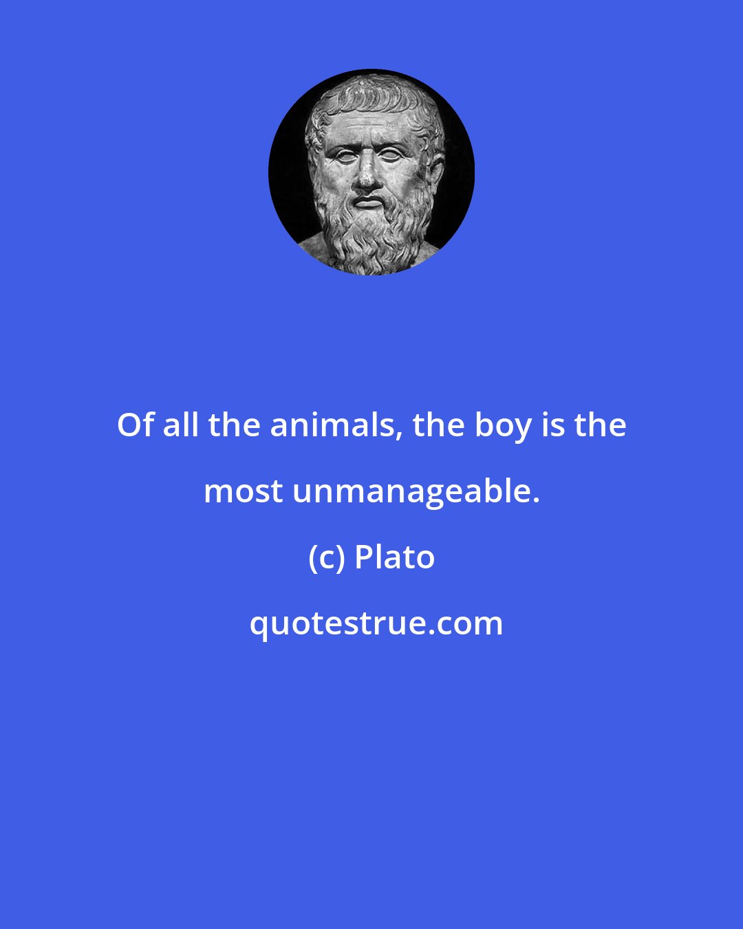 Plato: Of all the animals, the boy is the most unmanageable.