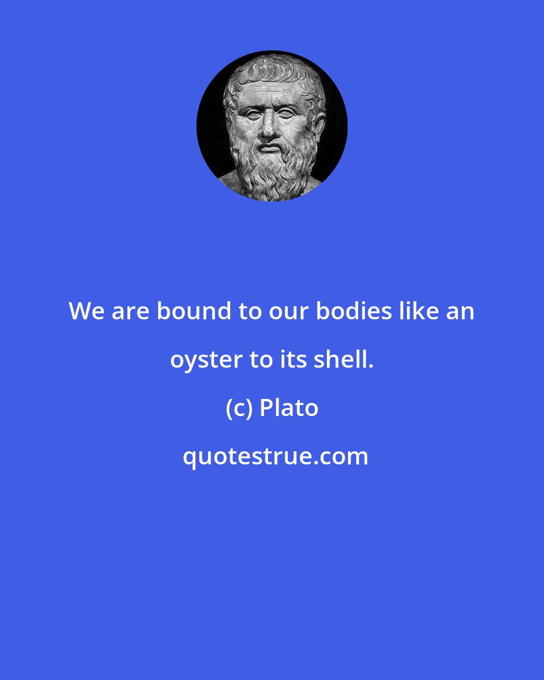 Plato: We are bound to our bodies like an oyster to its shell.